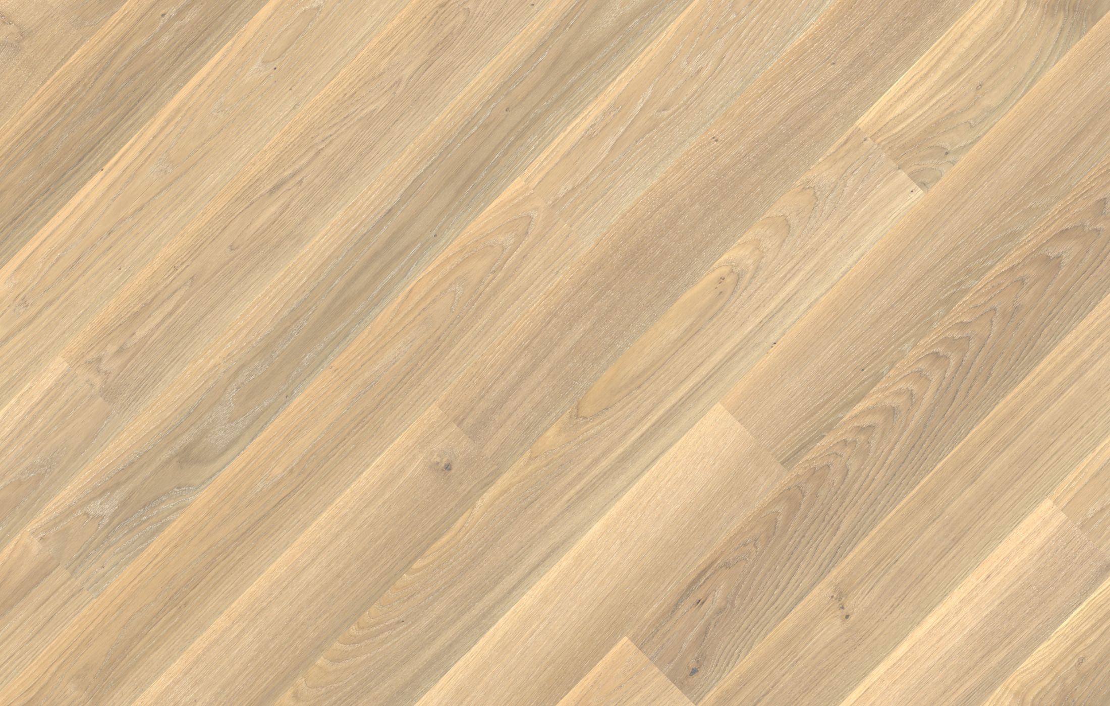 Jawor Parkiet Retro Collection Pure Line Natural White Jawor Parkiet Retro Collection Pure Line Natural White