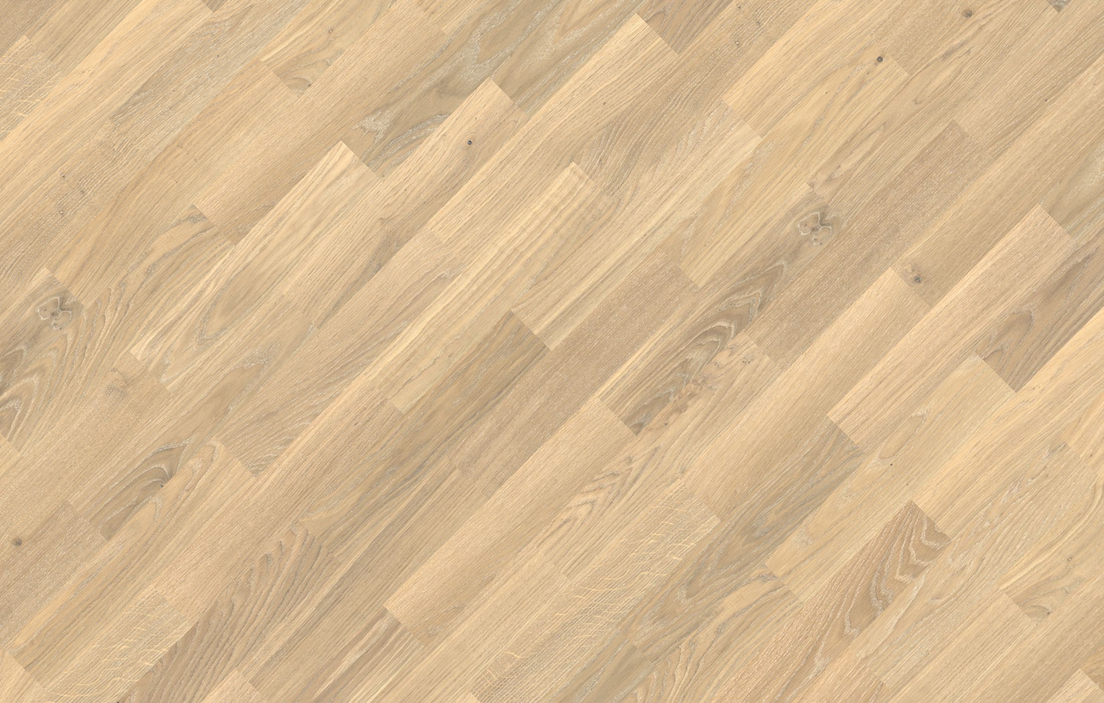 Jawor Parkiet Retro Collection Pure Line Natural White Jawor Parkiet Retro Collection Pure Line Natural White