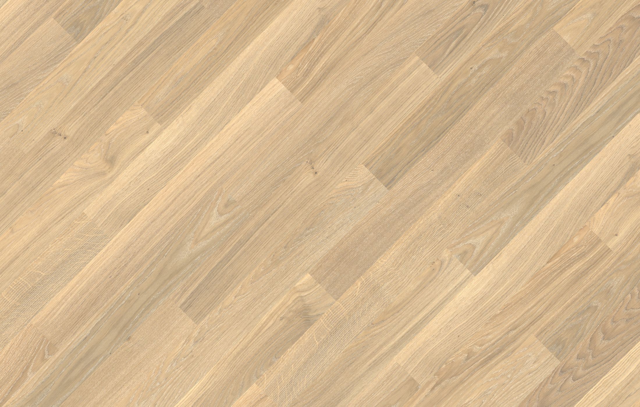 Jawor Parkiet Retro Collection Pure Line Natural White Jawor Parkiet Retro Collection Pure Line Natural White