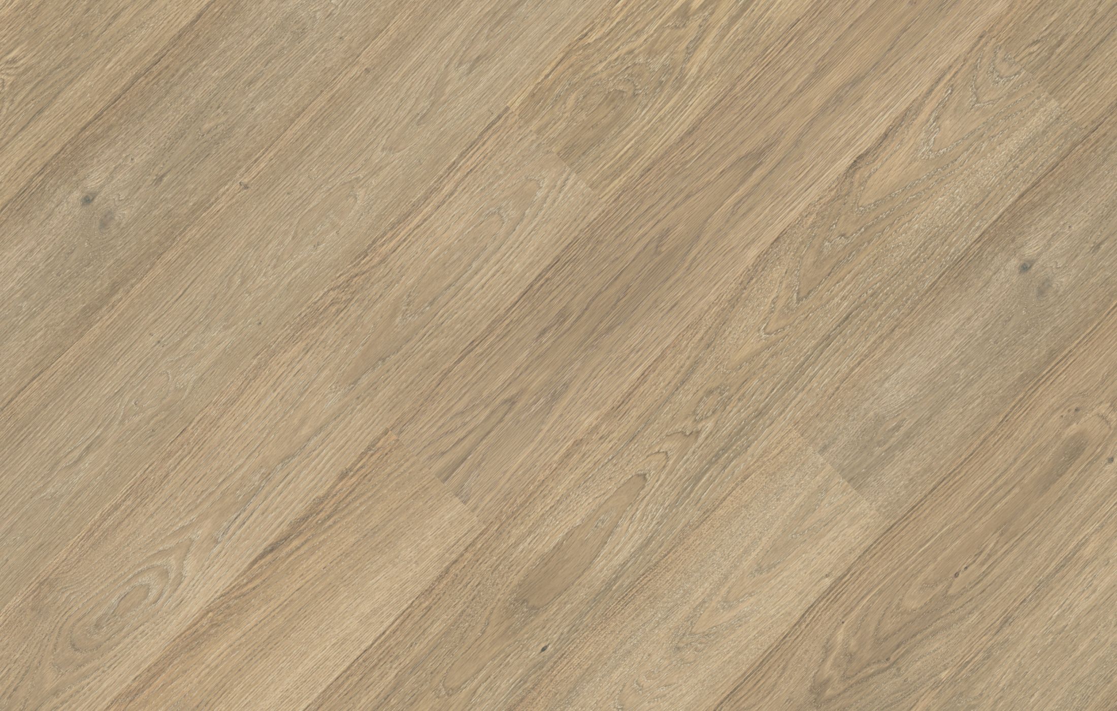 220_Dab_Color_Avorio_pr