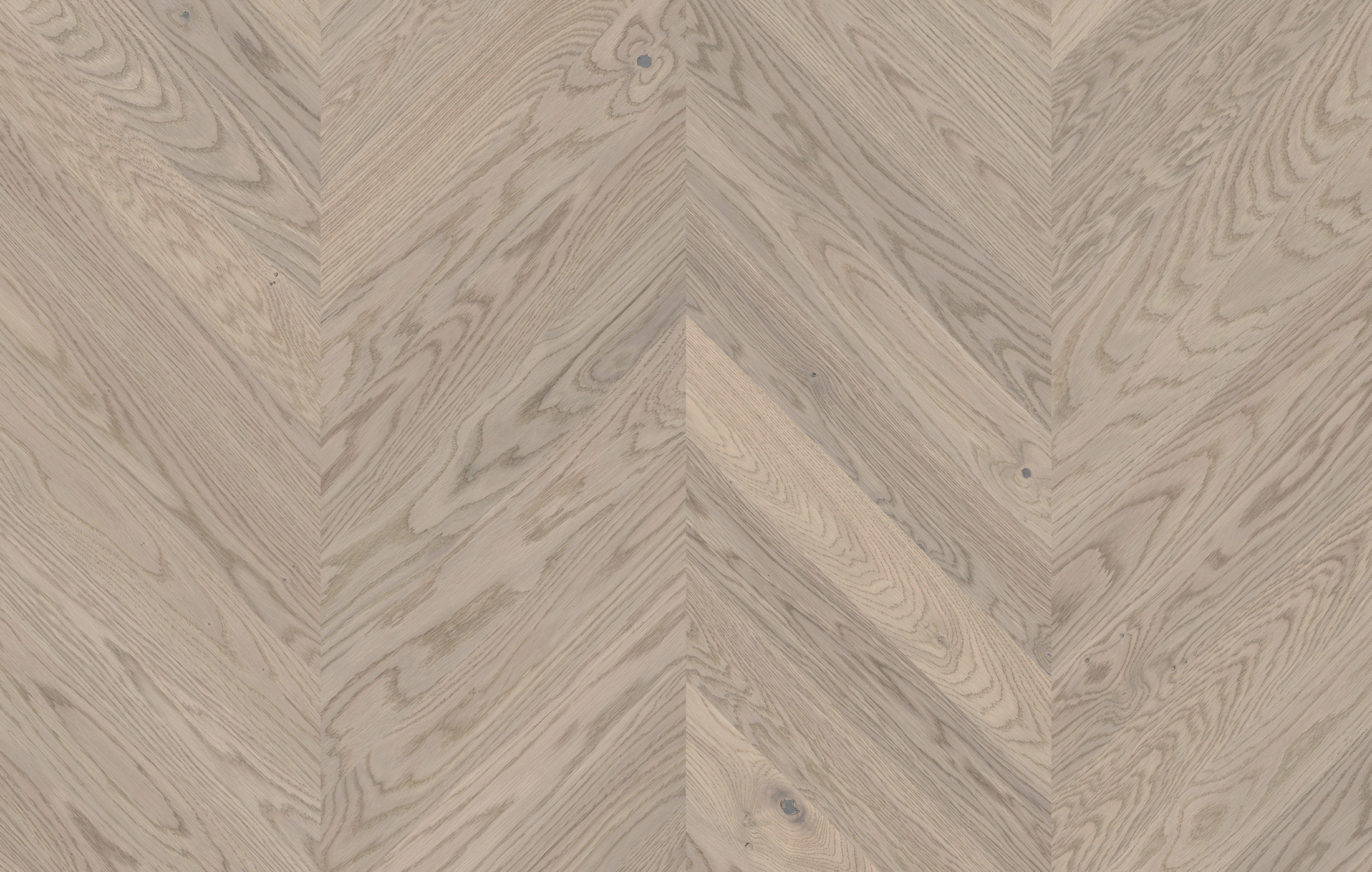 Jawor Parkiet CH415_Dab_Color_Caldo_pr