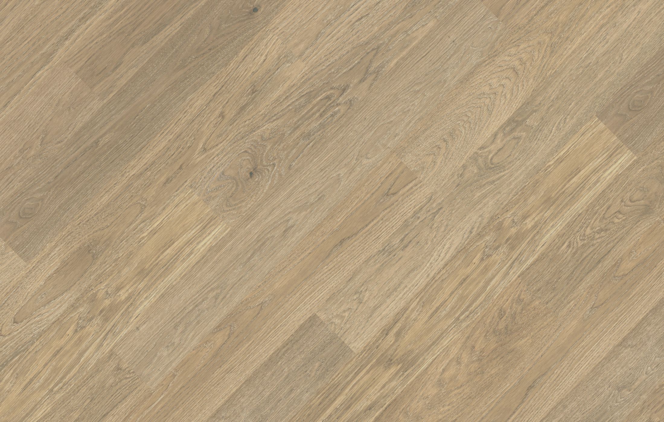 Jawor Parkiet CI_Dab_Color_Avorio_pr