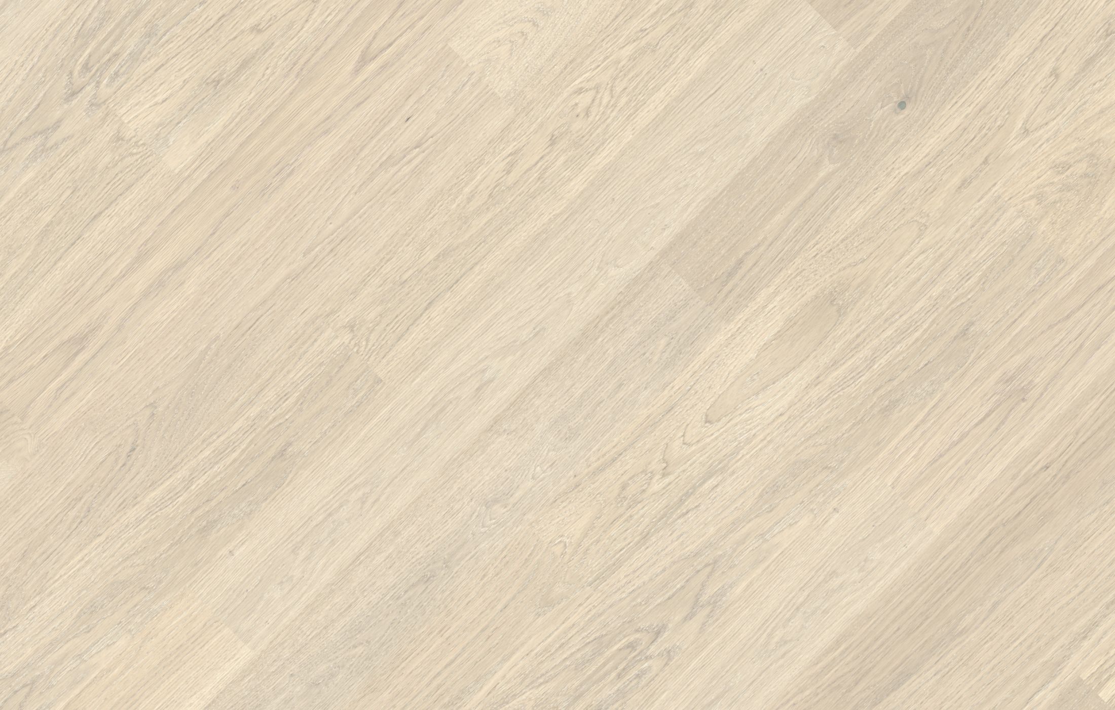 Jawor Parkiet CI_Dab_Color_Bianco_pr