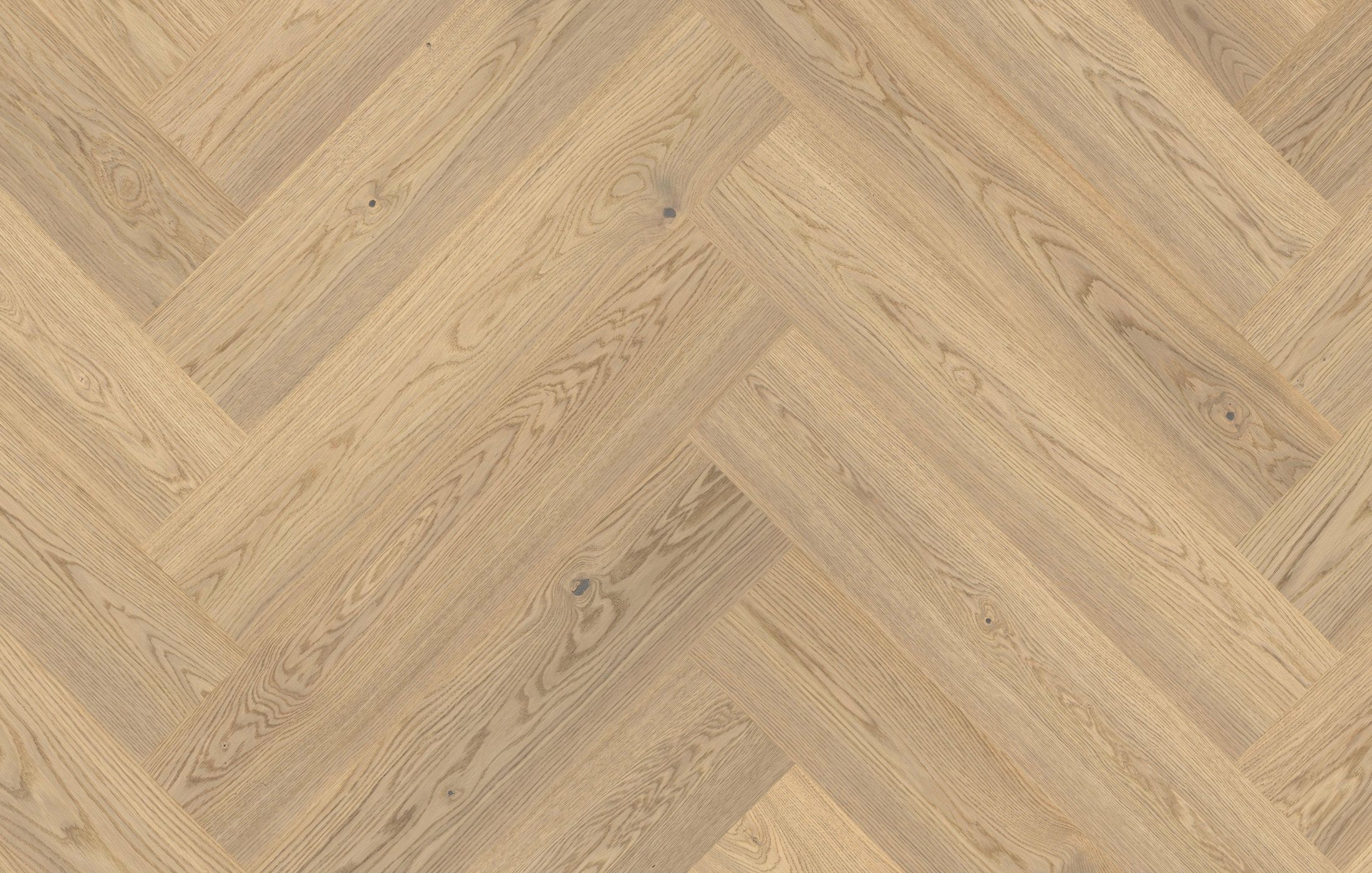 Jawor Parkiet DEM2_Dab_Color_Alabastro_Jod_pr