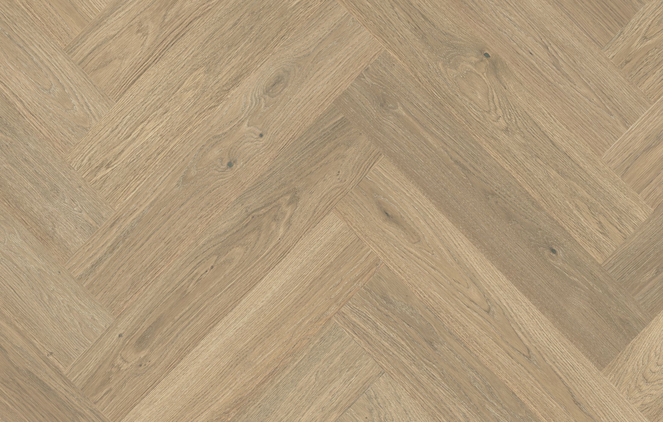 Jawor Parkiet Design Experience Maxi+ Dąb Color Avorio