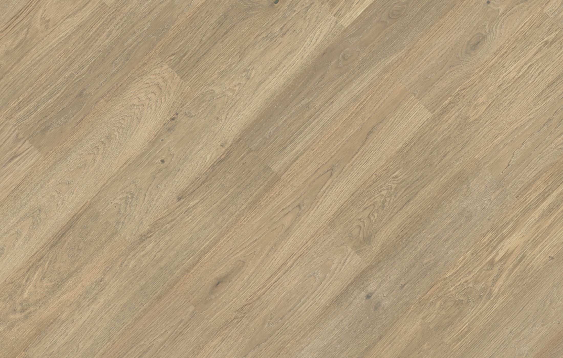 Jawor Parkiet Design Experience Maxi+ Dąb Color Avorio