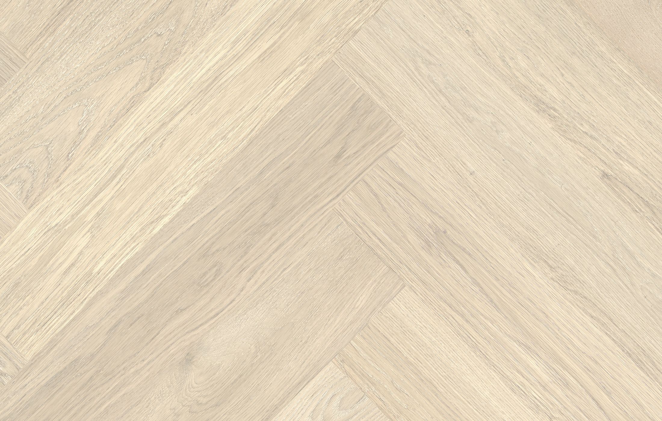 Jawor Parkiet DEM2_Dab_Color_Bianco_Jod_pr