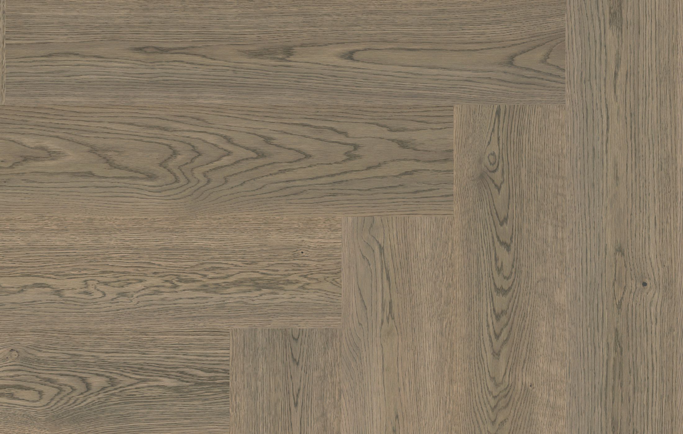 Jawor Parkiet DEM2_Dab_Color_Ferro_Jod_pr