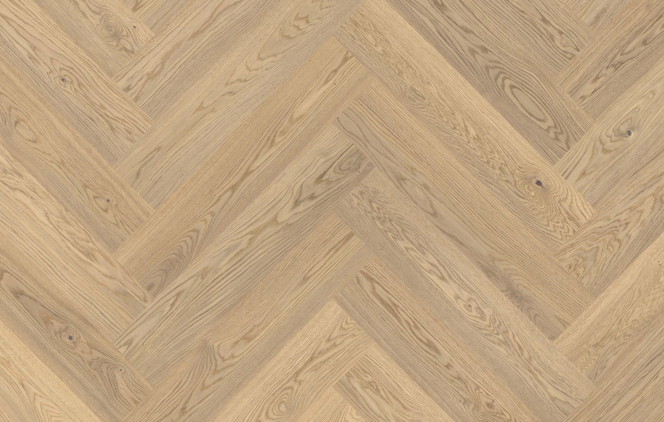 Jawor Parkiet Design Experience Maxi Dąb Alabastro