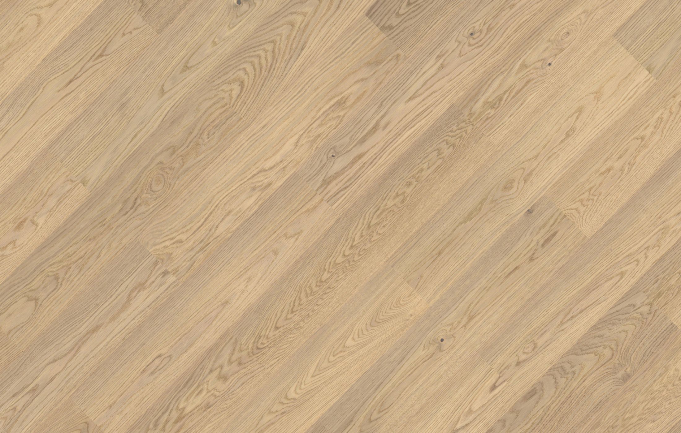 Jawor Parkiet Design Experience Maxi Dąb Alabastro