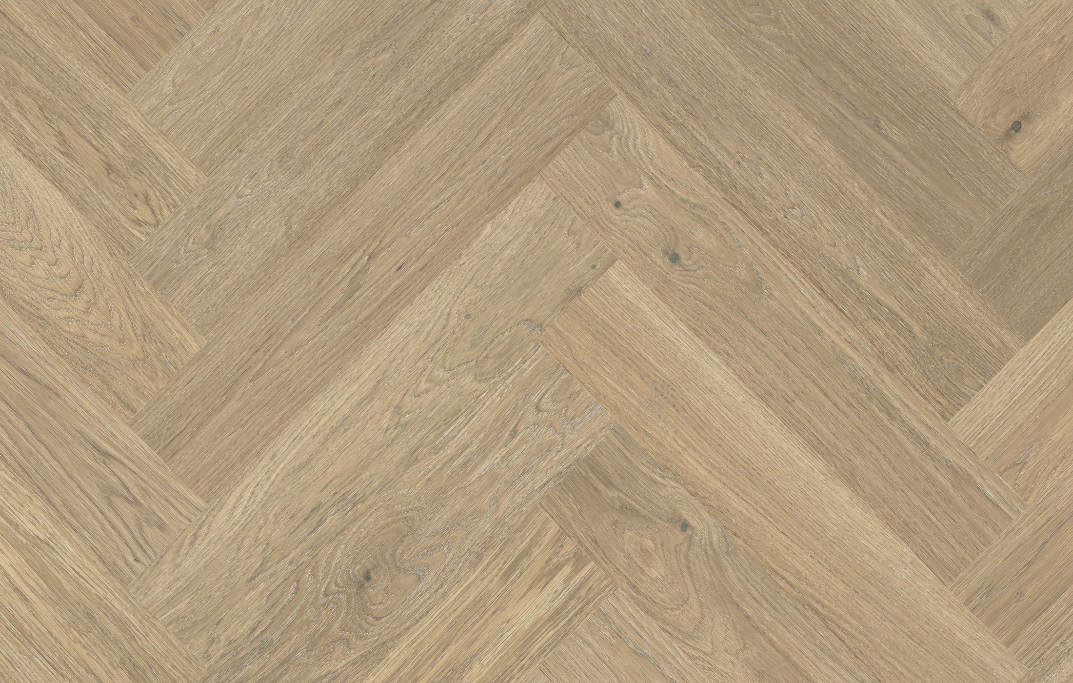 Jawor Parkiet Design Experience Maxi Dąb Color Avorio