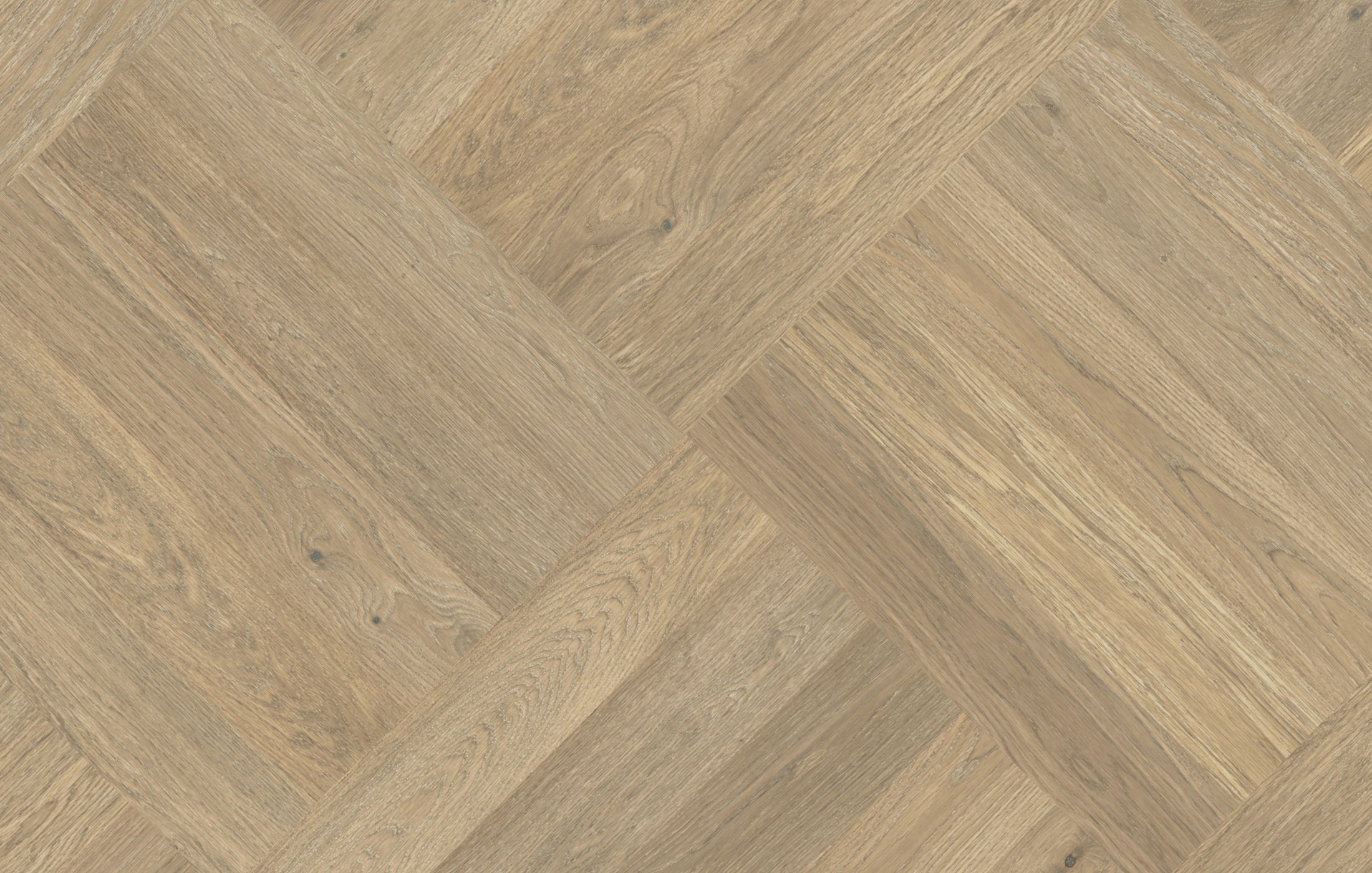 Jawor Parkiet Design Experience Maxi Dąb Color Avorio