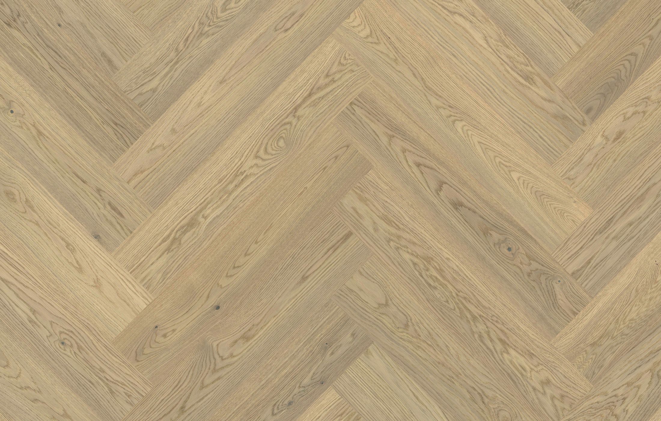 Jawor Parkiet DEM_Dab_Color_Luna_Jod_pr