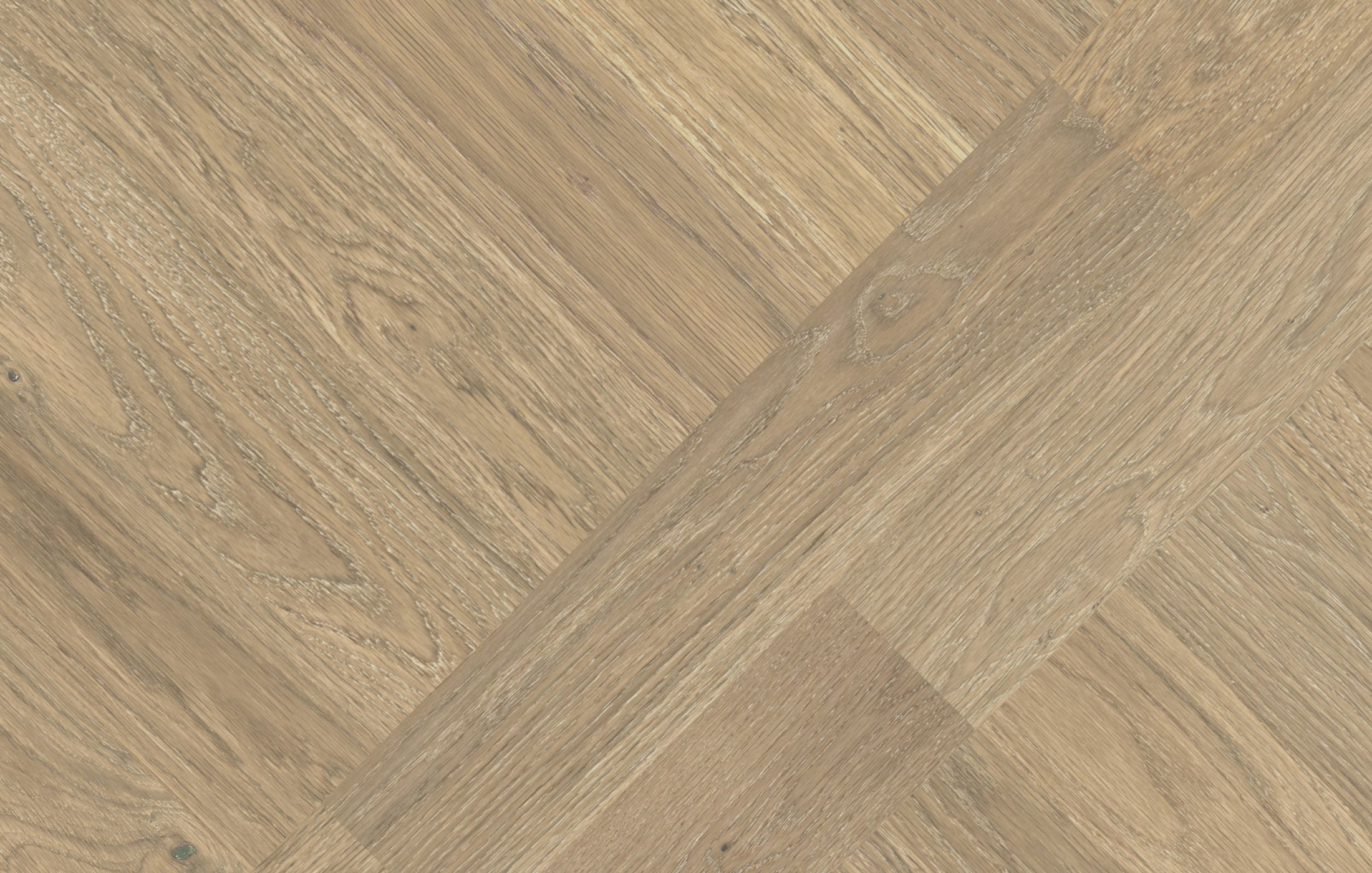 Jawor Parkiet Design Experience Dąb Color Avorio