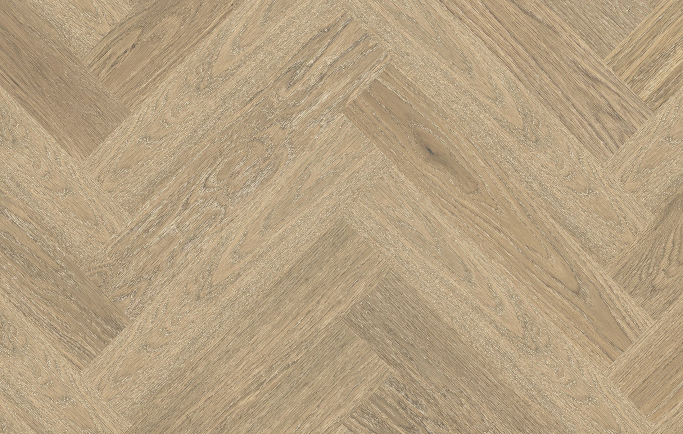 Jawor Parkiet DE_Dab_Color_Avorio_Jod_pr