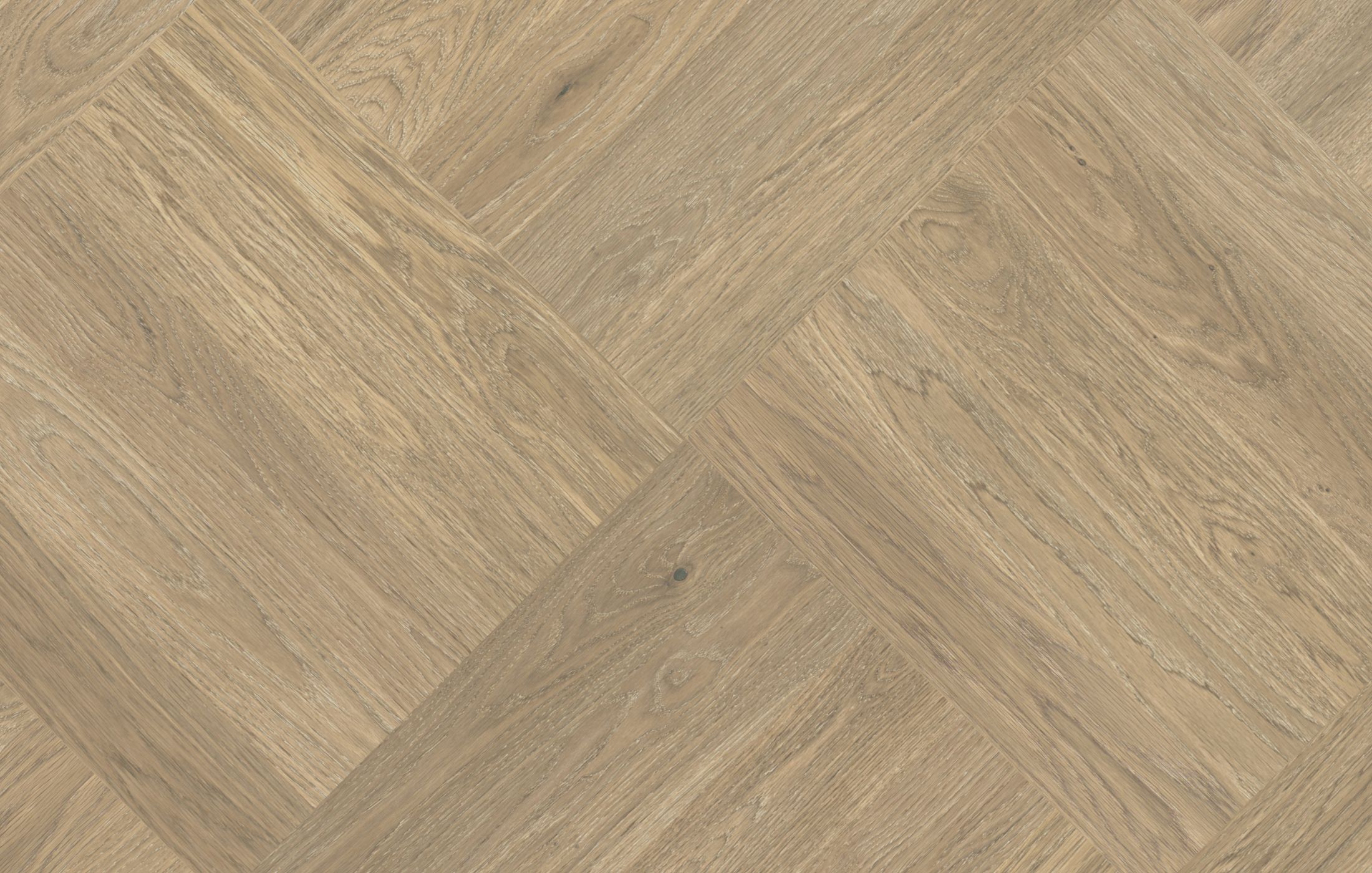 Jawor Parkiet Design Experience Dąb Color Avorio