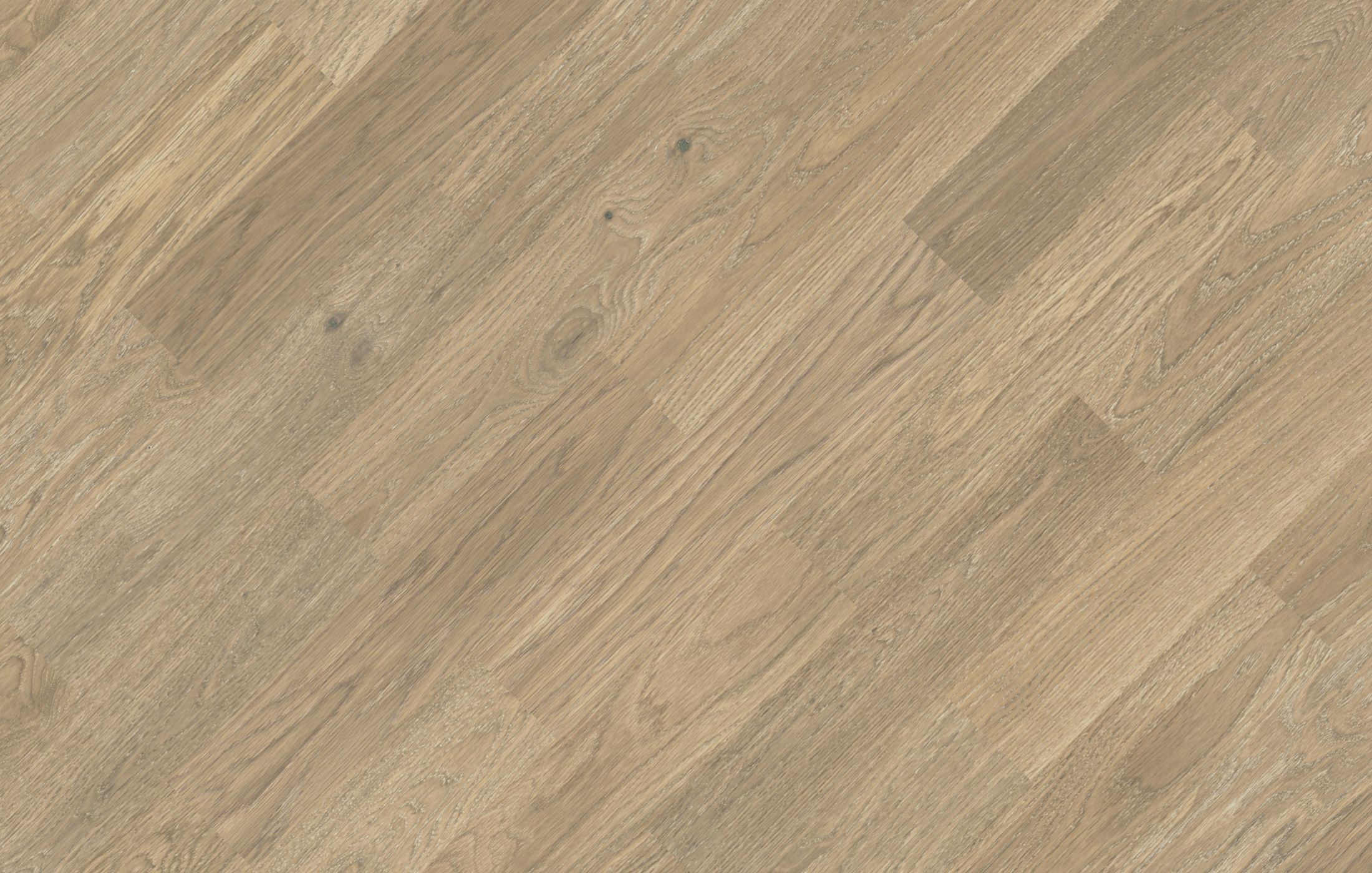 Jawor Parkiet Design Experience Dąb Color Avorio
