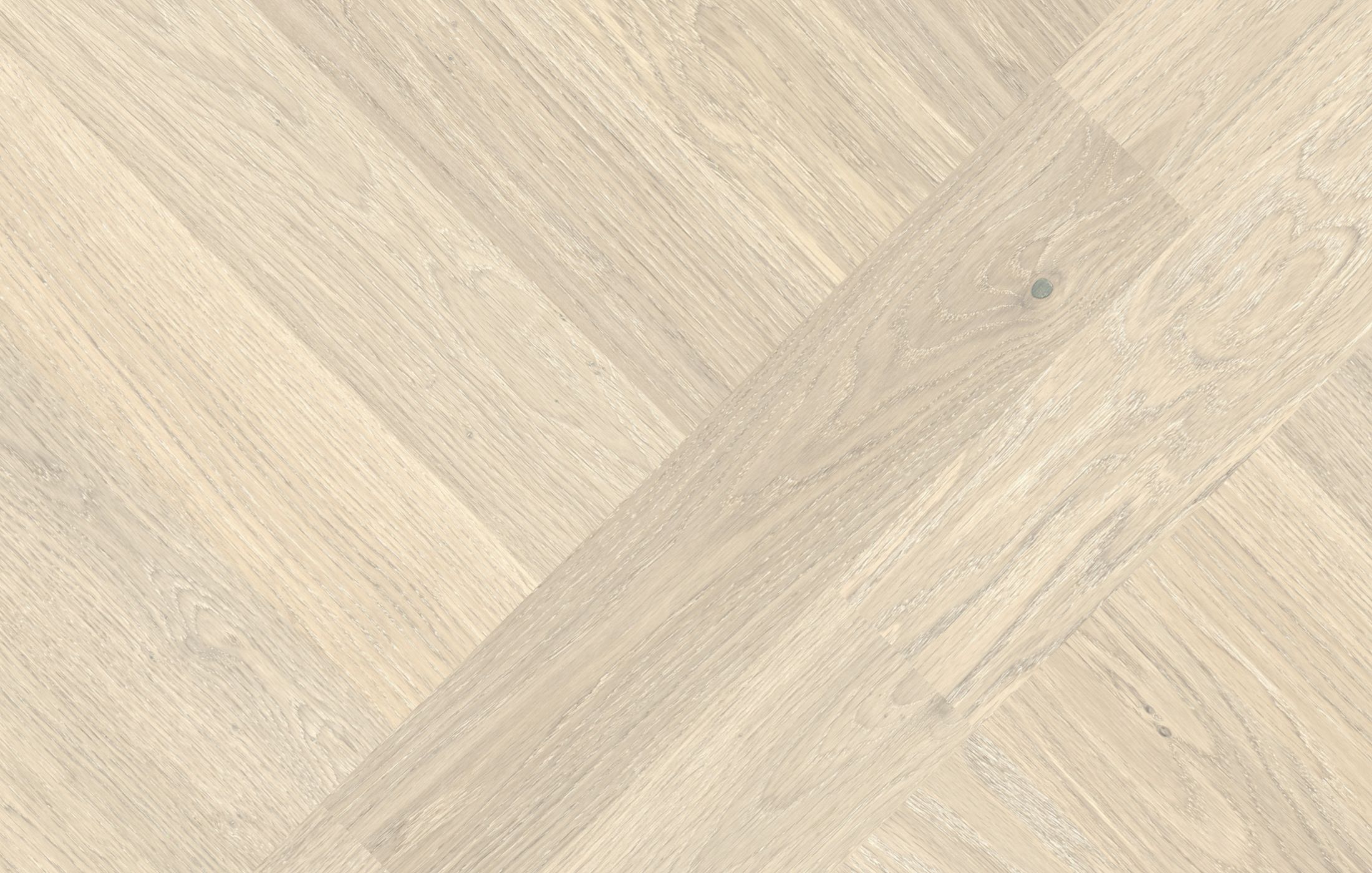 Jawor Parkiet Design Experience Dąb Color Bianco