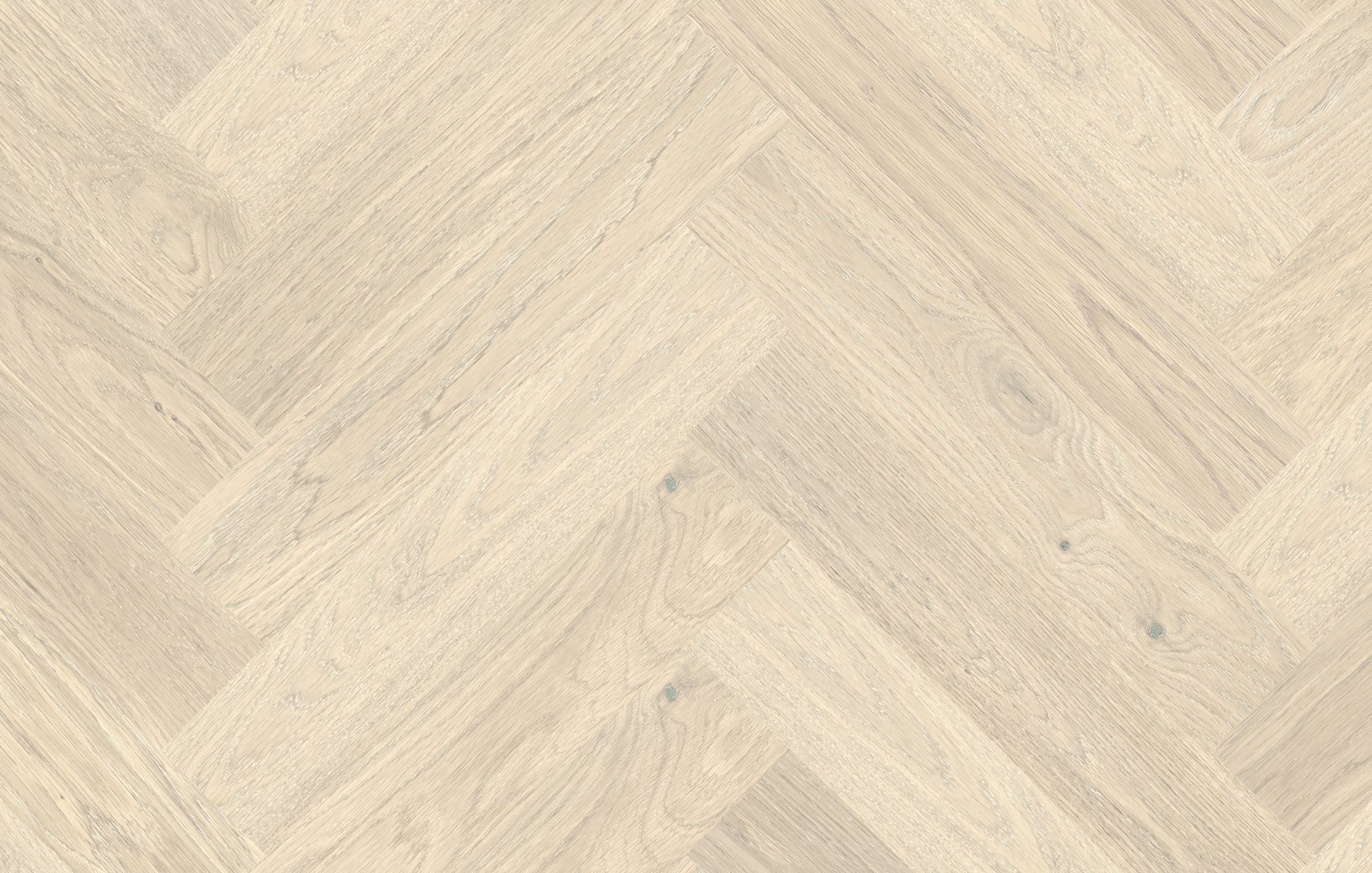 Jawor Parkiet DE_Dab_Color_Bianco_Jod_pr