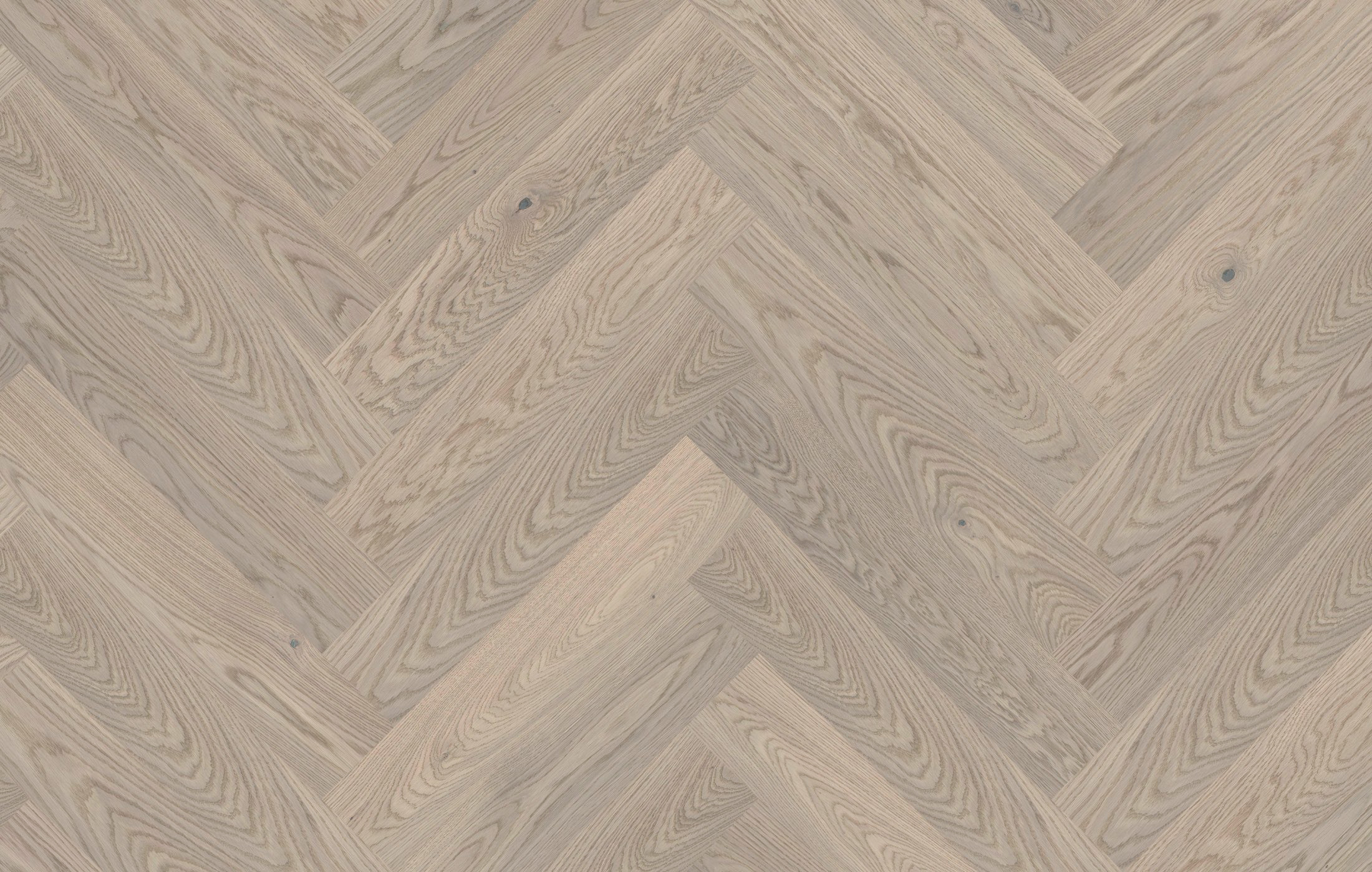 Jawor Parkiet DE_Dab_Color_Caldo_Jod_pr