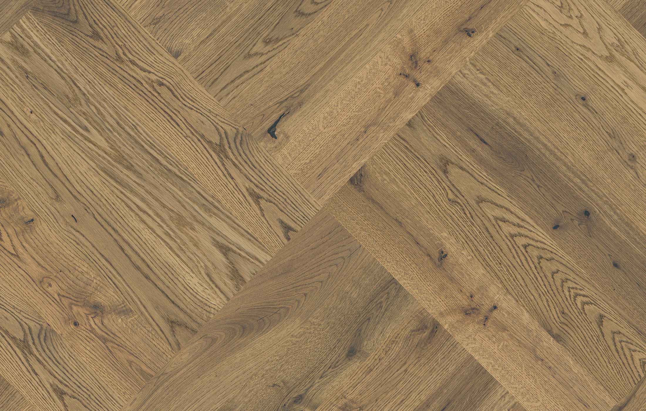 Jawor Parkiet Design Experience Dąb Color Capri