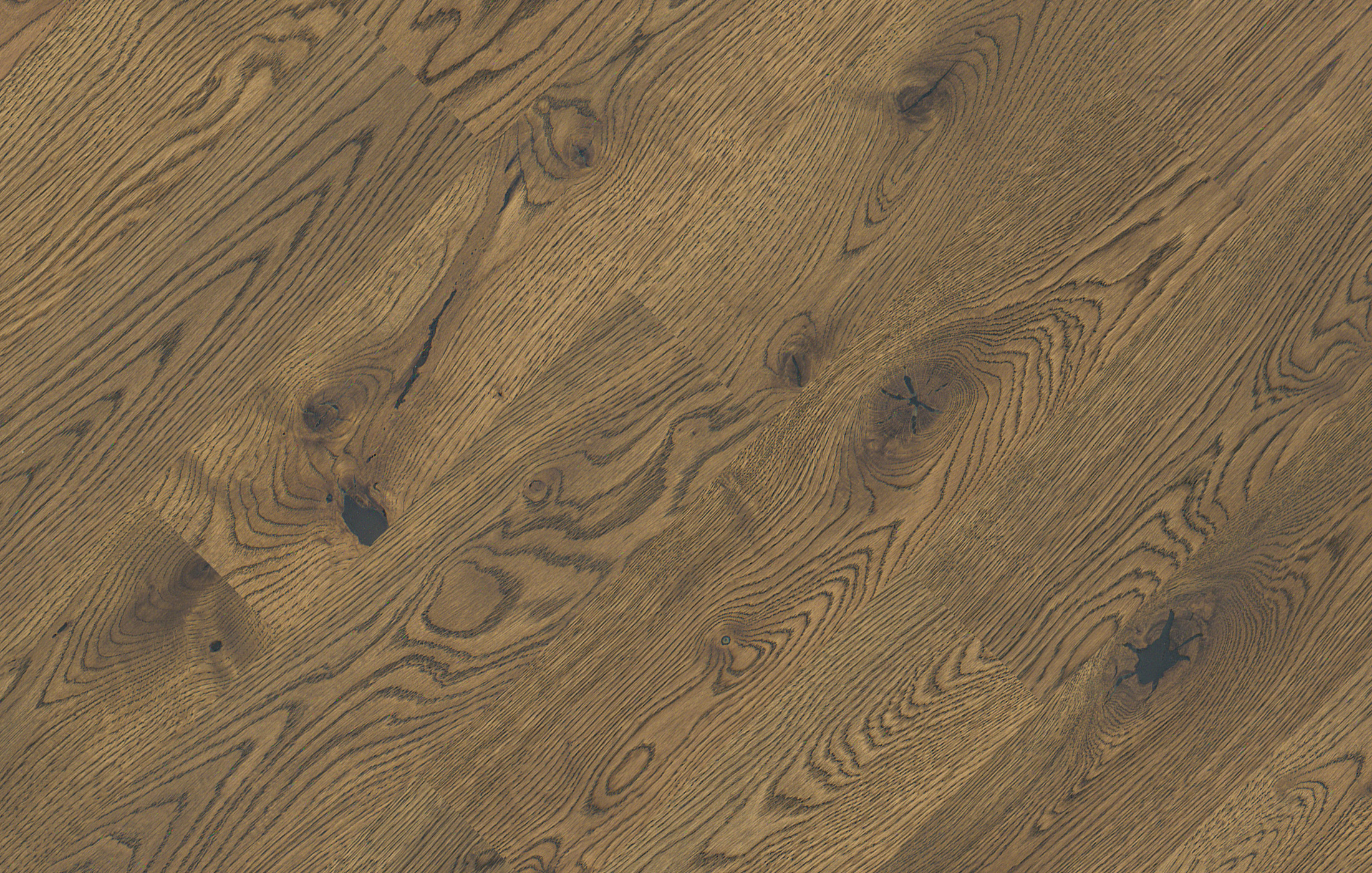 Jawor Parkiet Design Experience Dąb Color Como