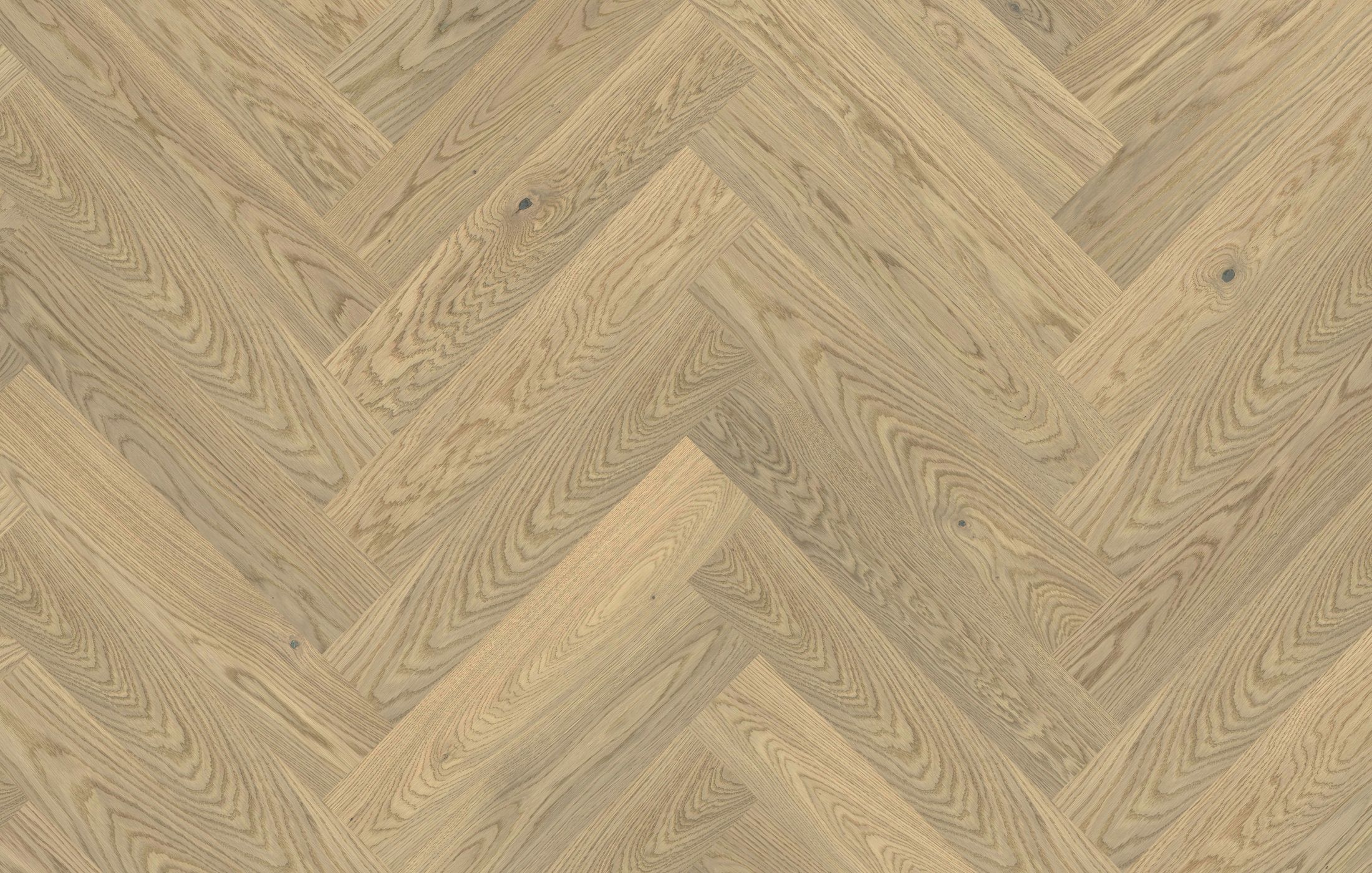 Jawor Parkiet Design Experience Dąb Color Luna