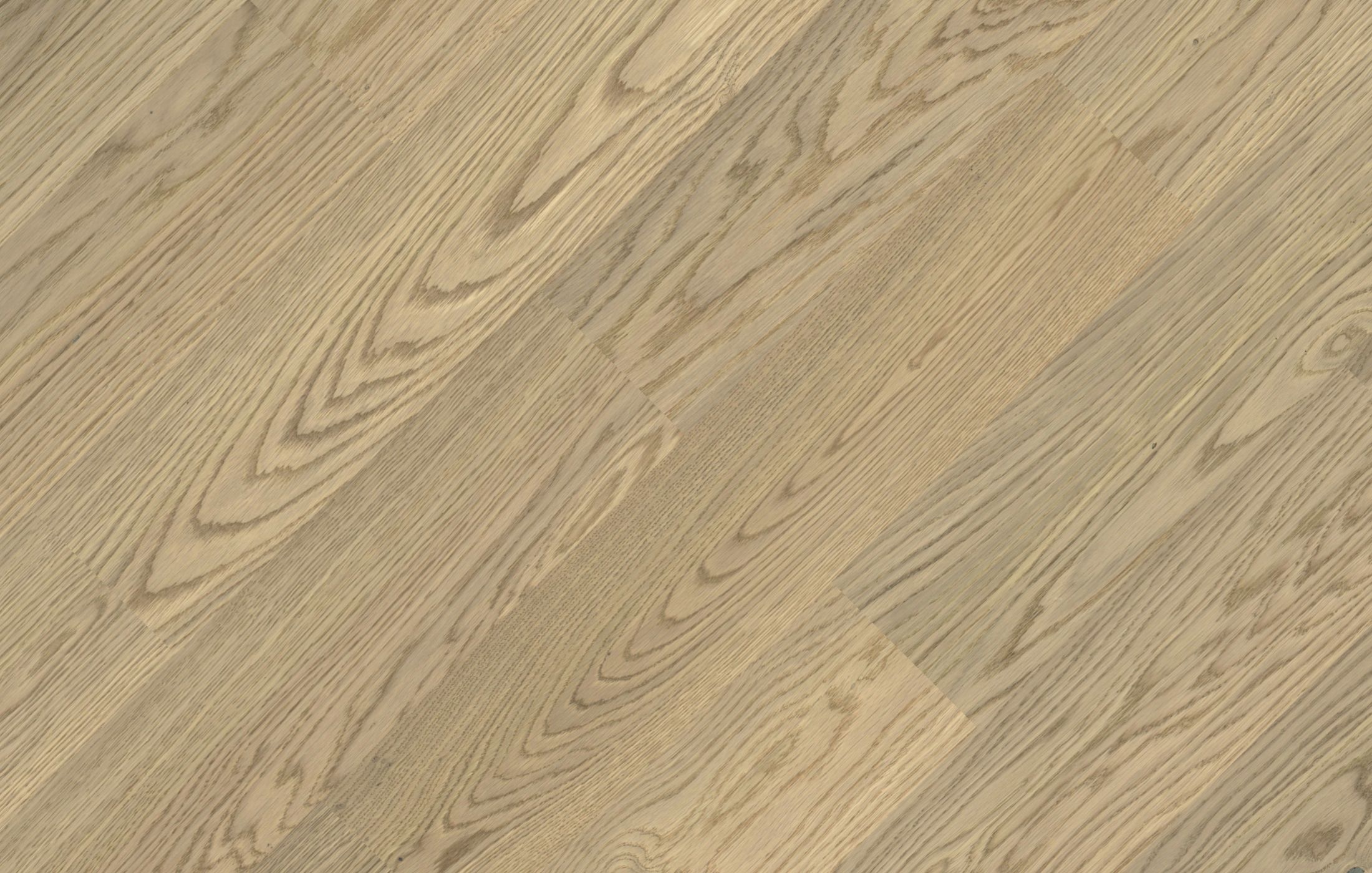 Jawor Parkiet Design Experience Dąb Color Luna