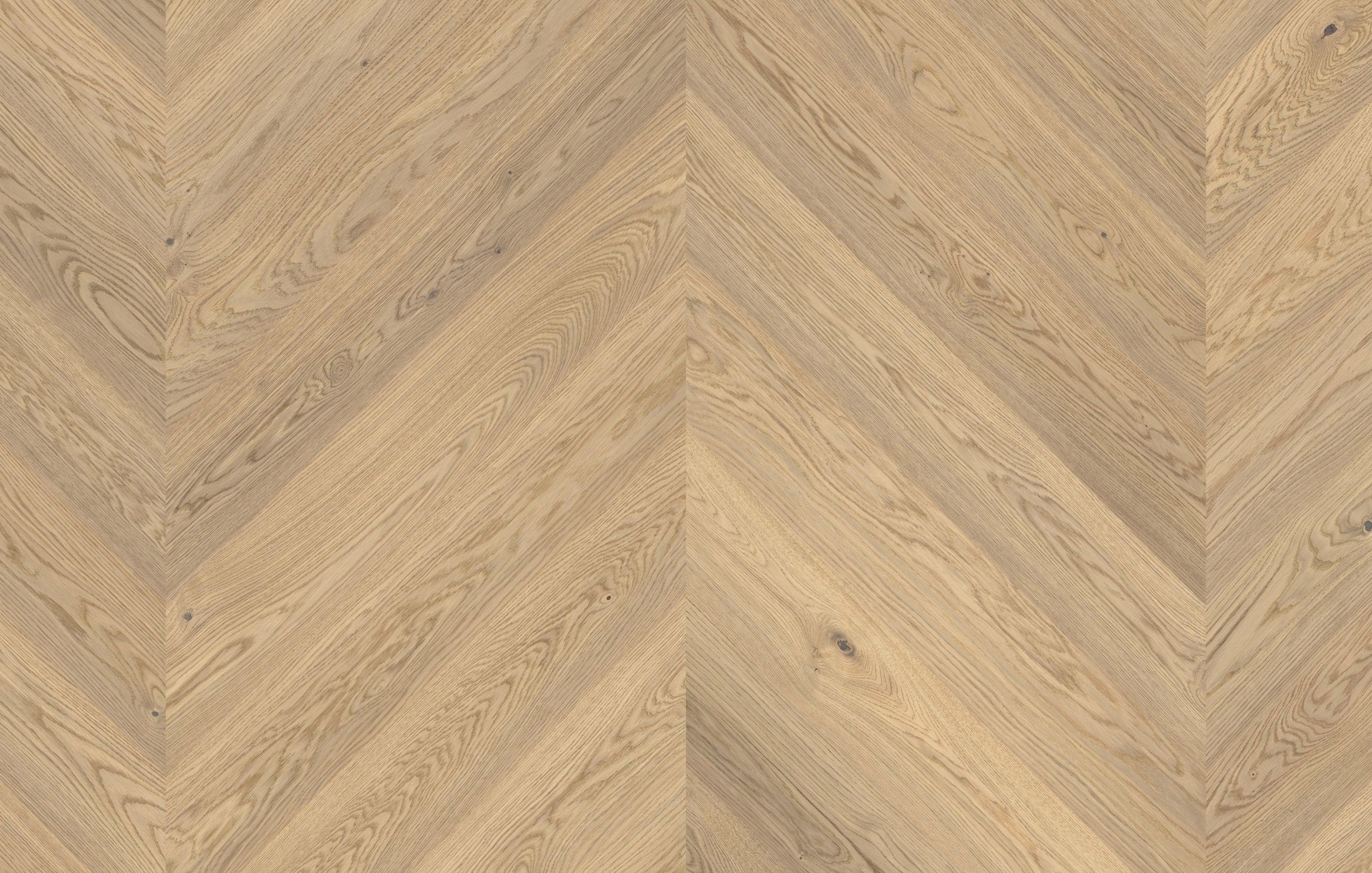 Jawor Parkiet FD_CH_Dab_Color_Alabastro_pr