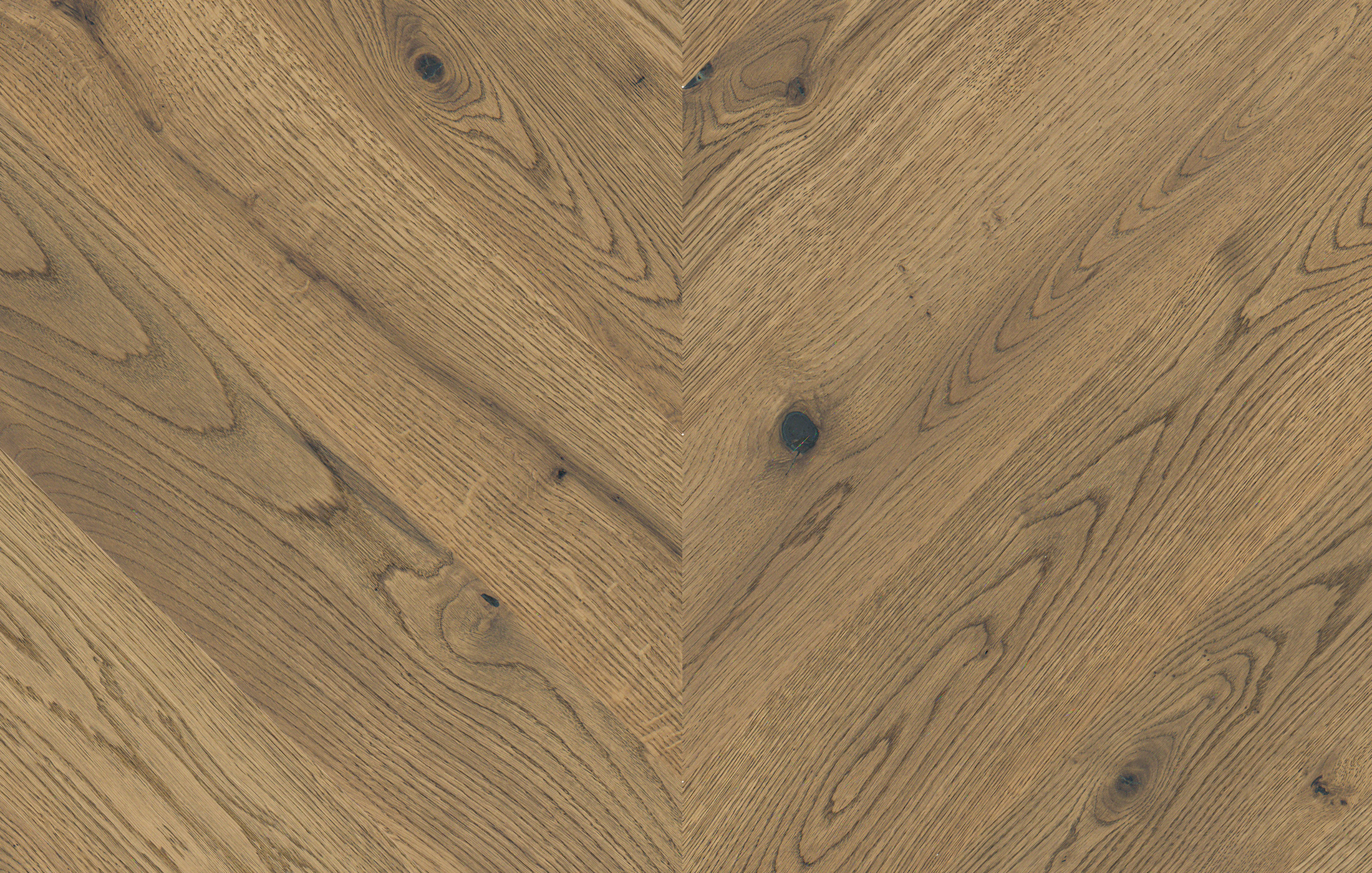 Jawor Parkiet FD_CH_Dab_Color_Capri_590_pr