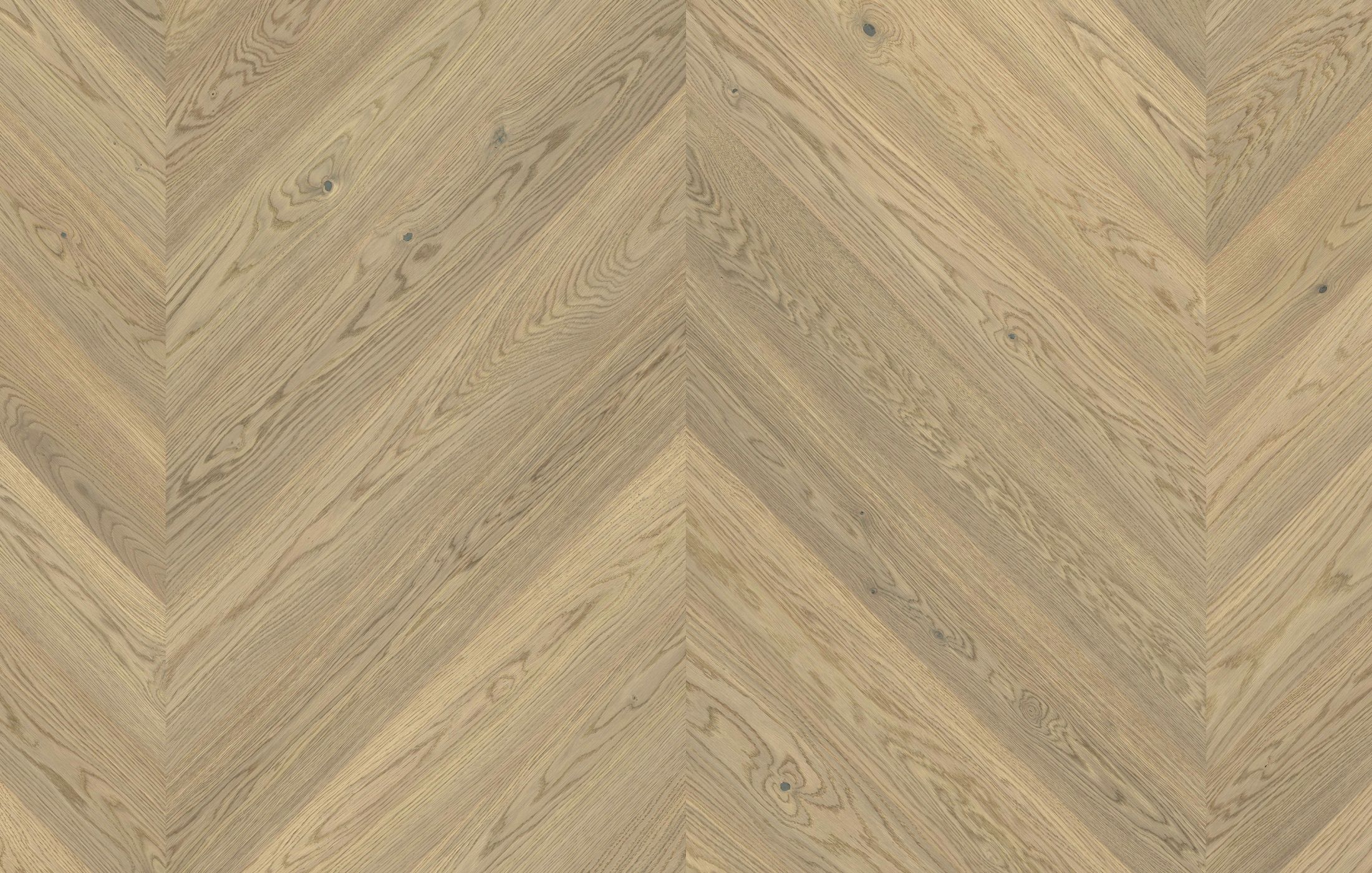 Jawor Parkiet FD_CH_Dab_Color_Luna_pr