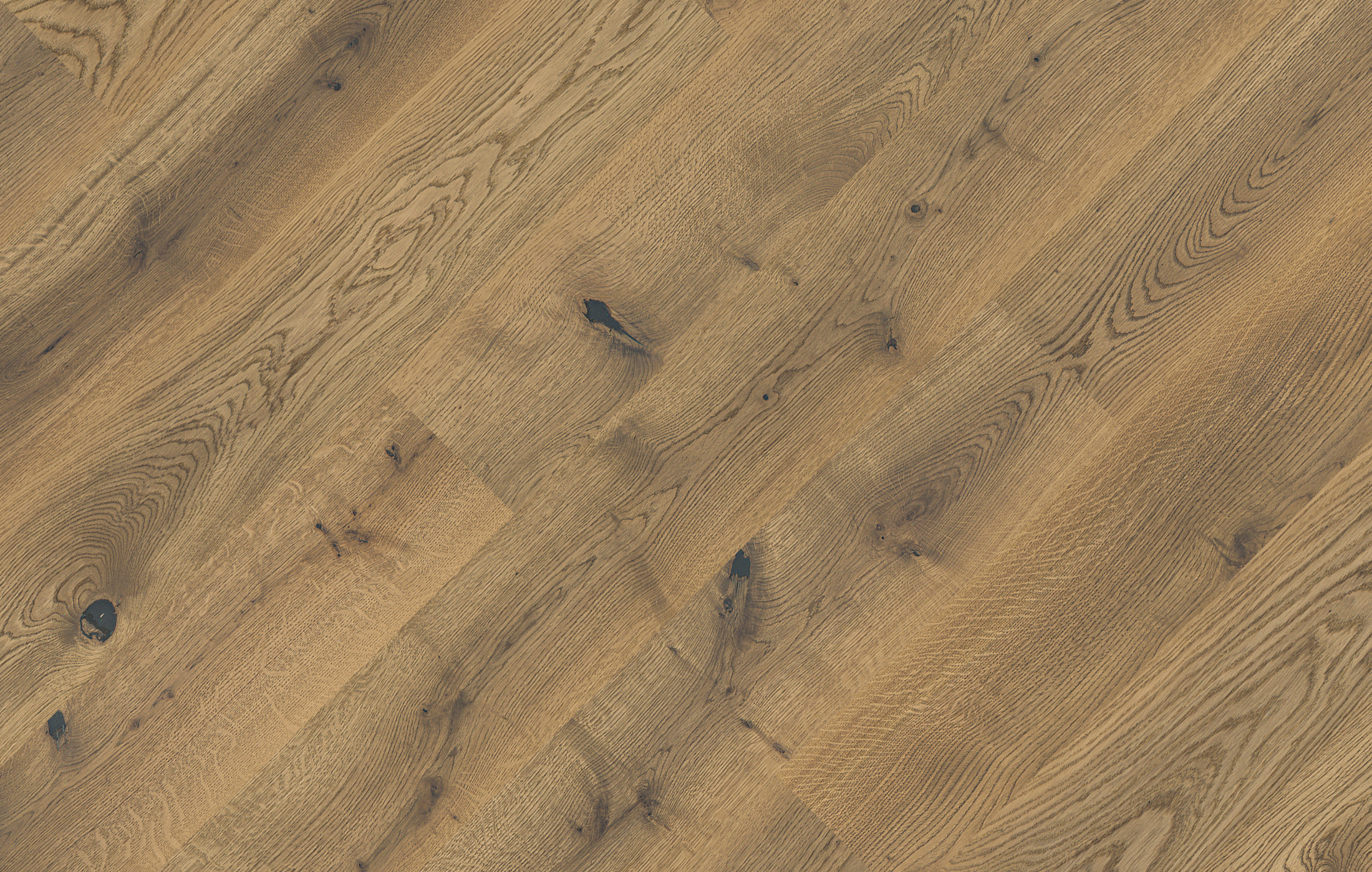 Jawor Parkiet FD_CI_Dab_Color_Capri_pr