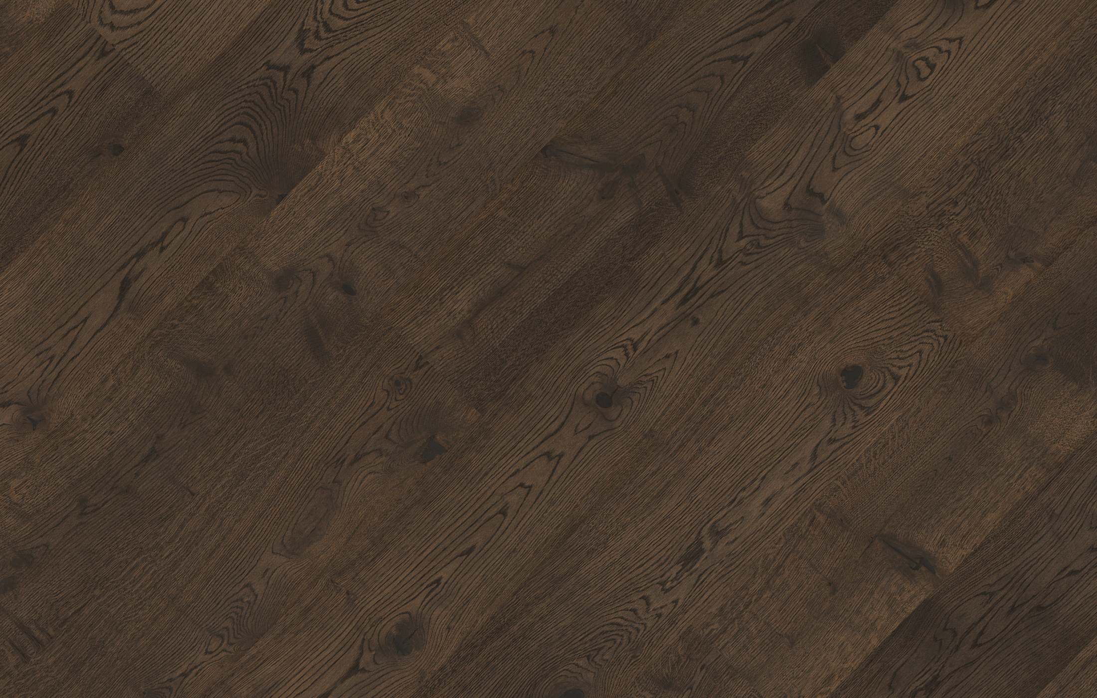 Jawor Parkiet FD_CI_Dab_Color_Vento_pr