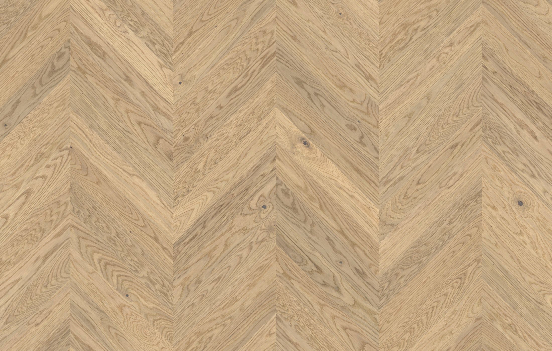 Jawor Parkiet FP_CH_Dab_Color_Alabastro_pr