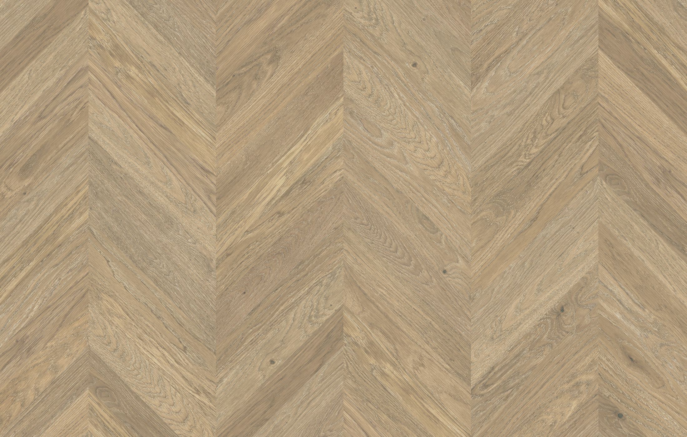 Jawor Parkiet FP_CH_Dab_Color_Avorio_pr