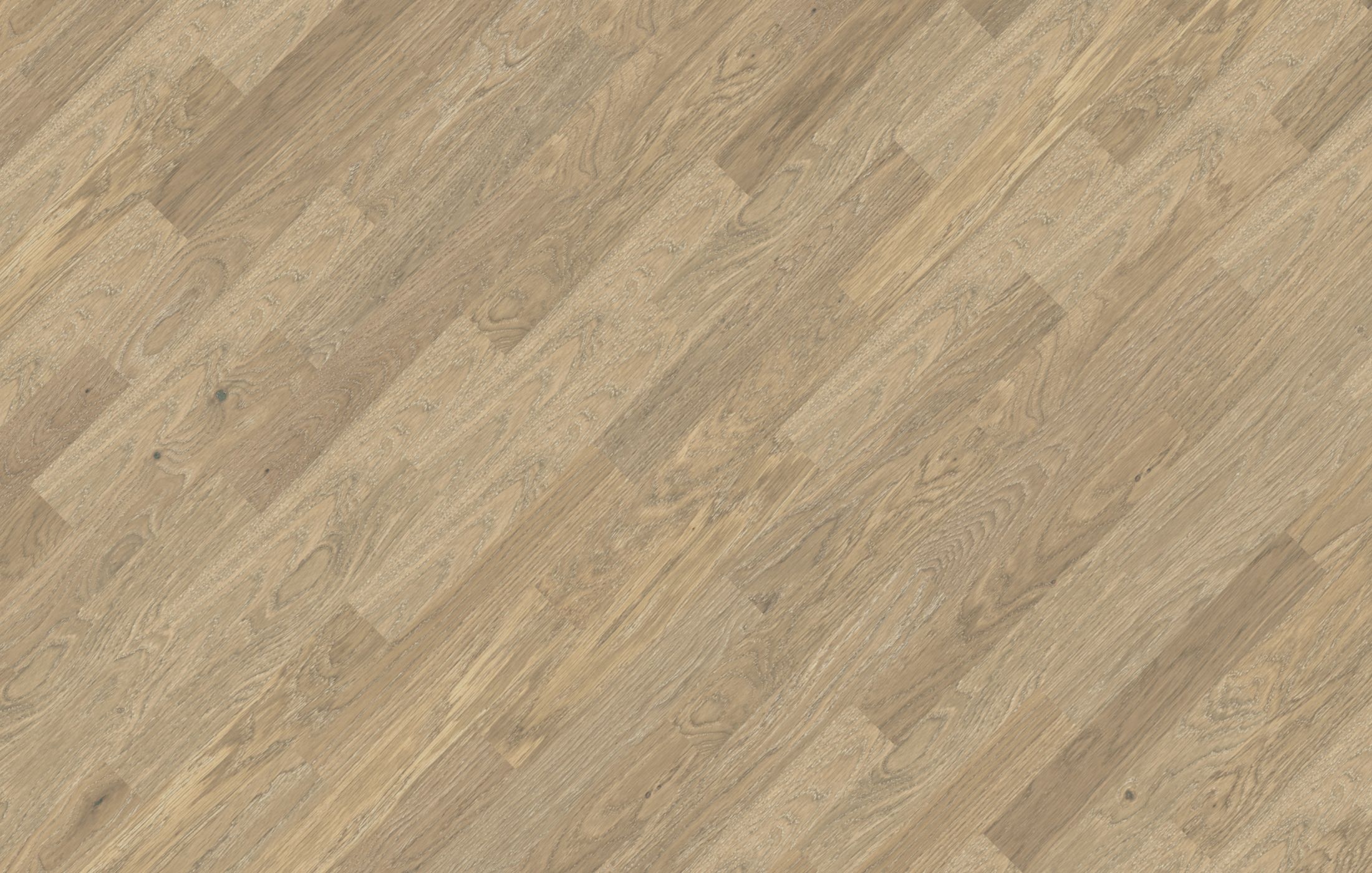 Jawor Parkiet FP_CH_Dab_Color_Avorio_