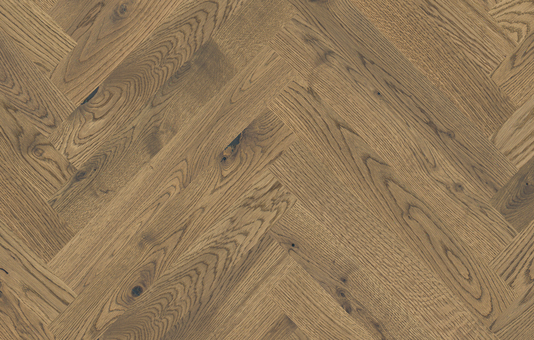 Jawor Parkiet FP_Dab_Color_Capri_JKL_pr