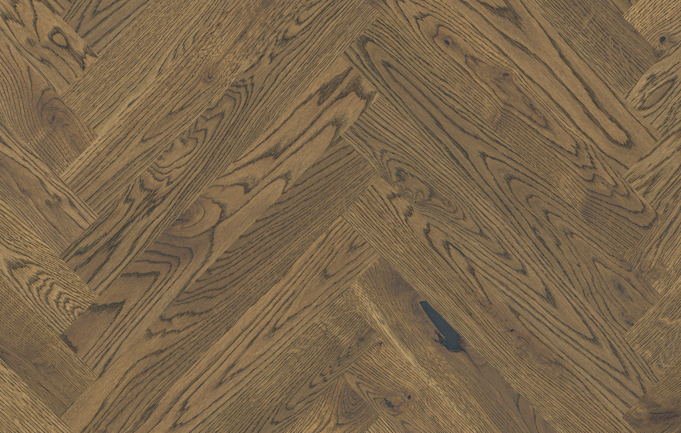 Jawor Parkiet FP_Dab_Color_Como_JKL_pr
