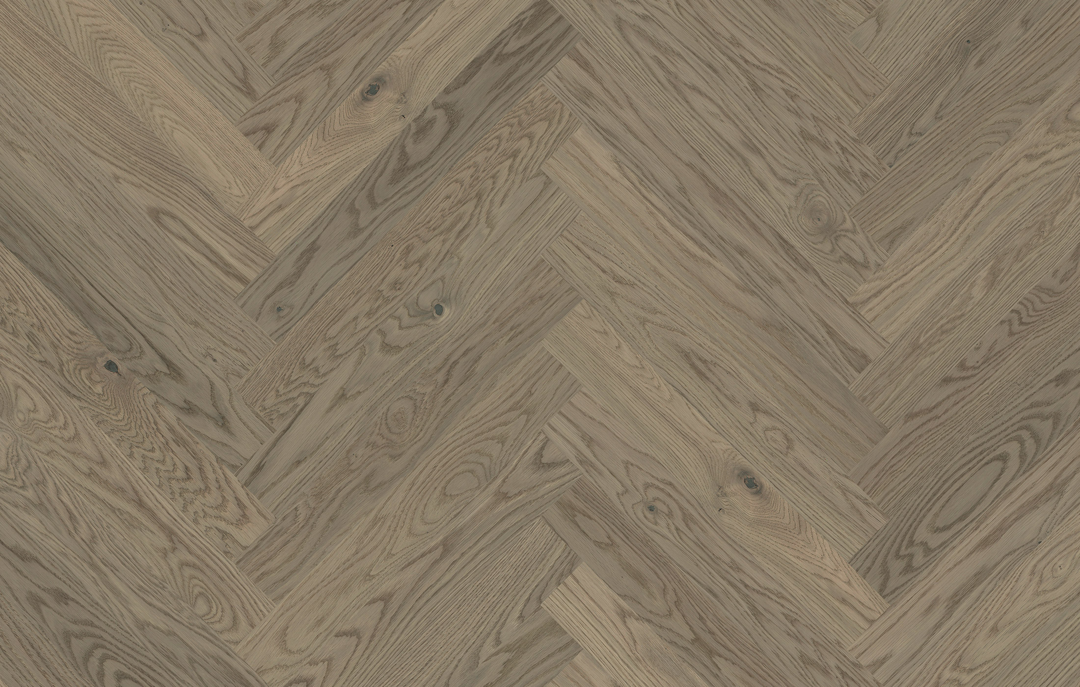 Jawor Parkiet FP_Dab_Color_Ferro_Jod_pr