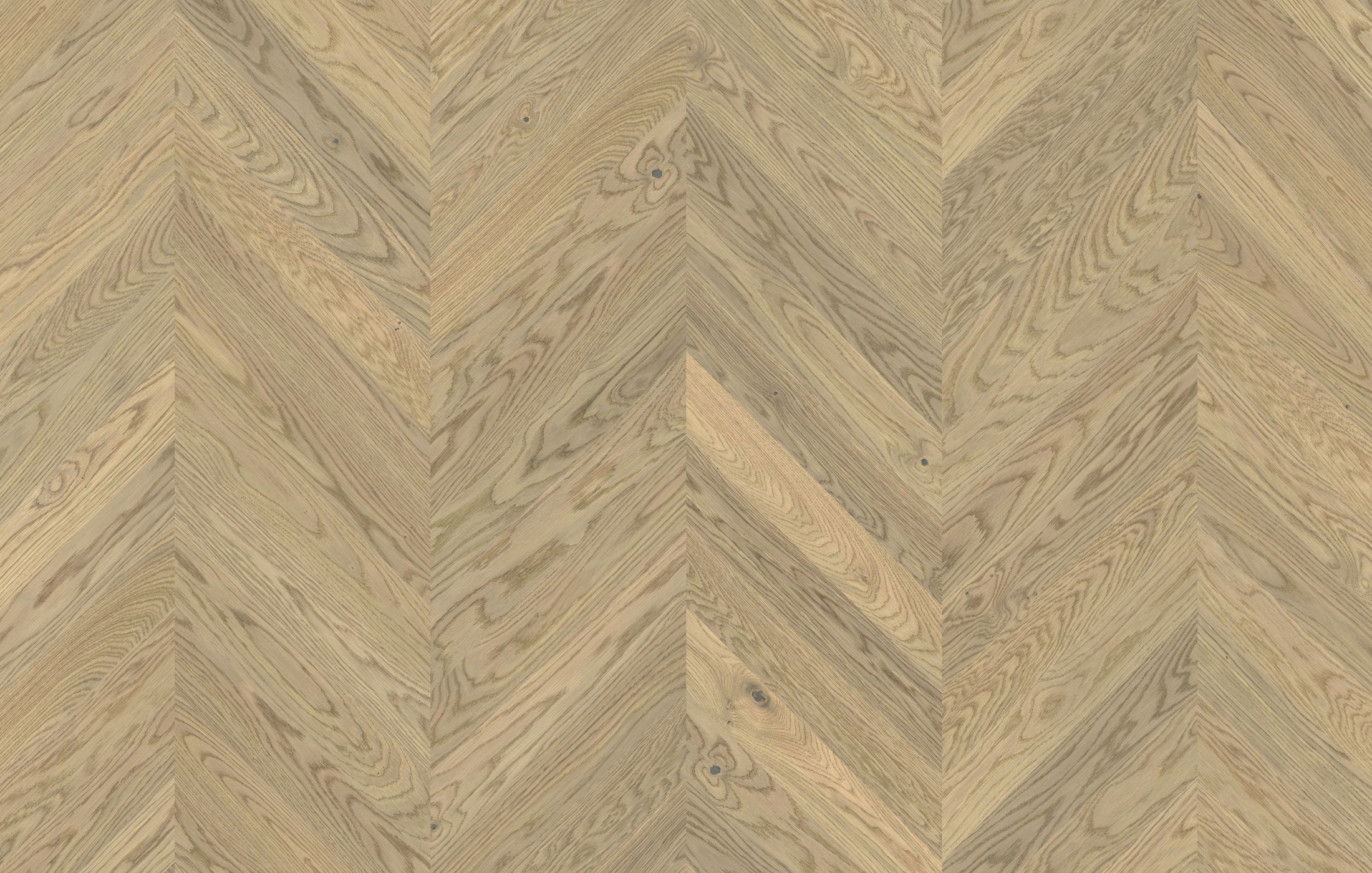 Jawor Parkiet FP_Dab_Color_Luna_Chevron45