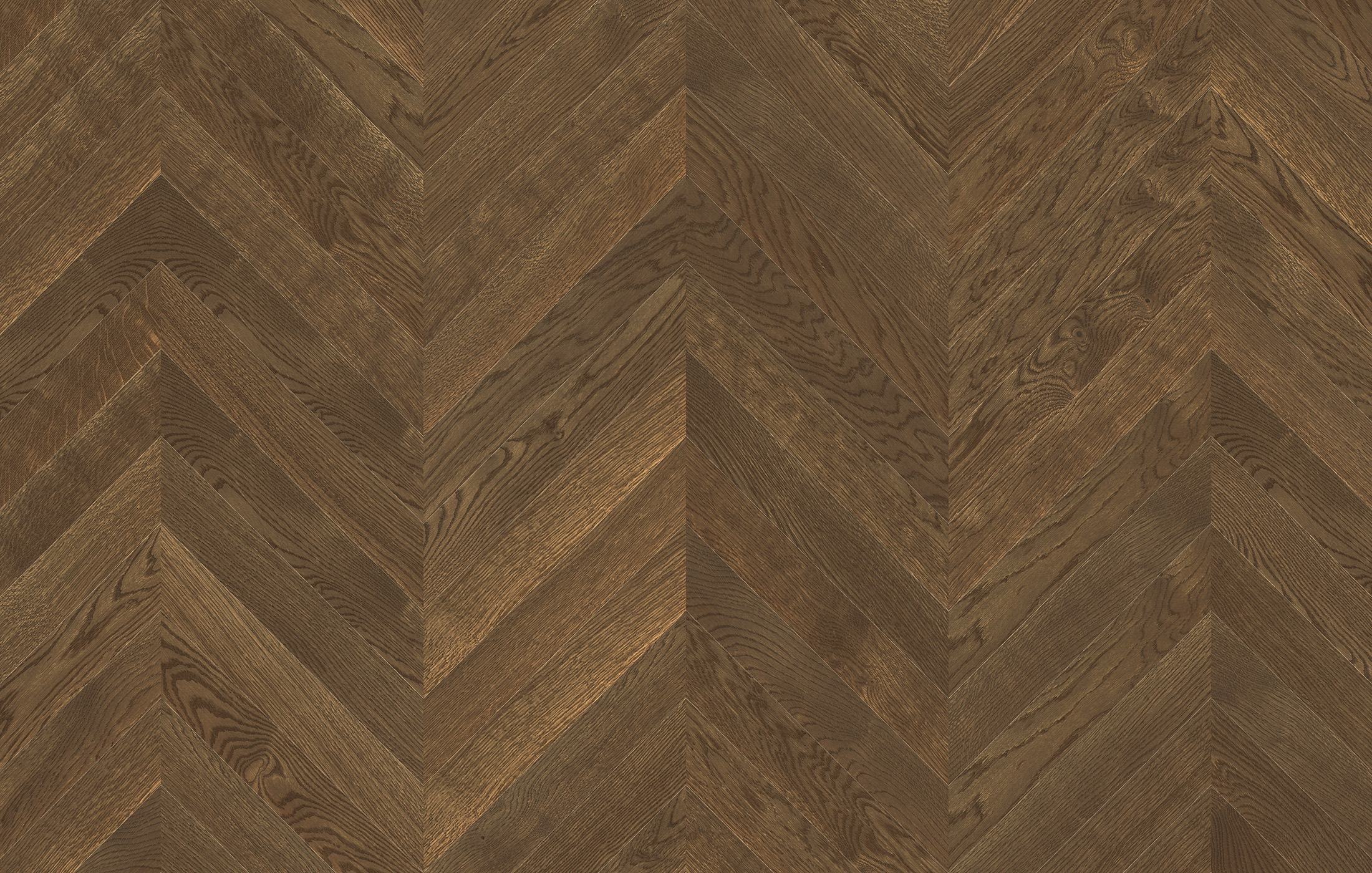 Jawor Parkiet FP_Dab_Color_Rosolare_Chevron45_pr