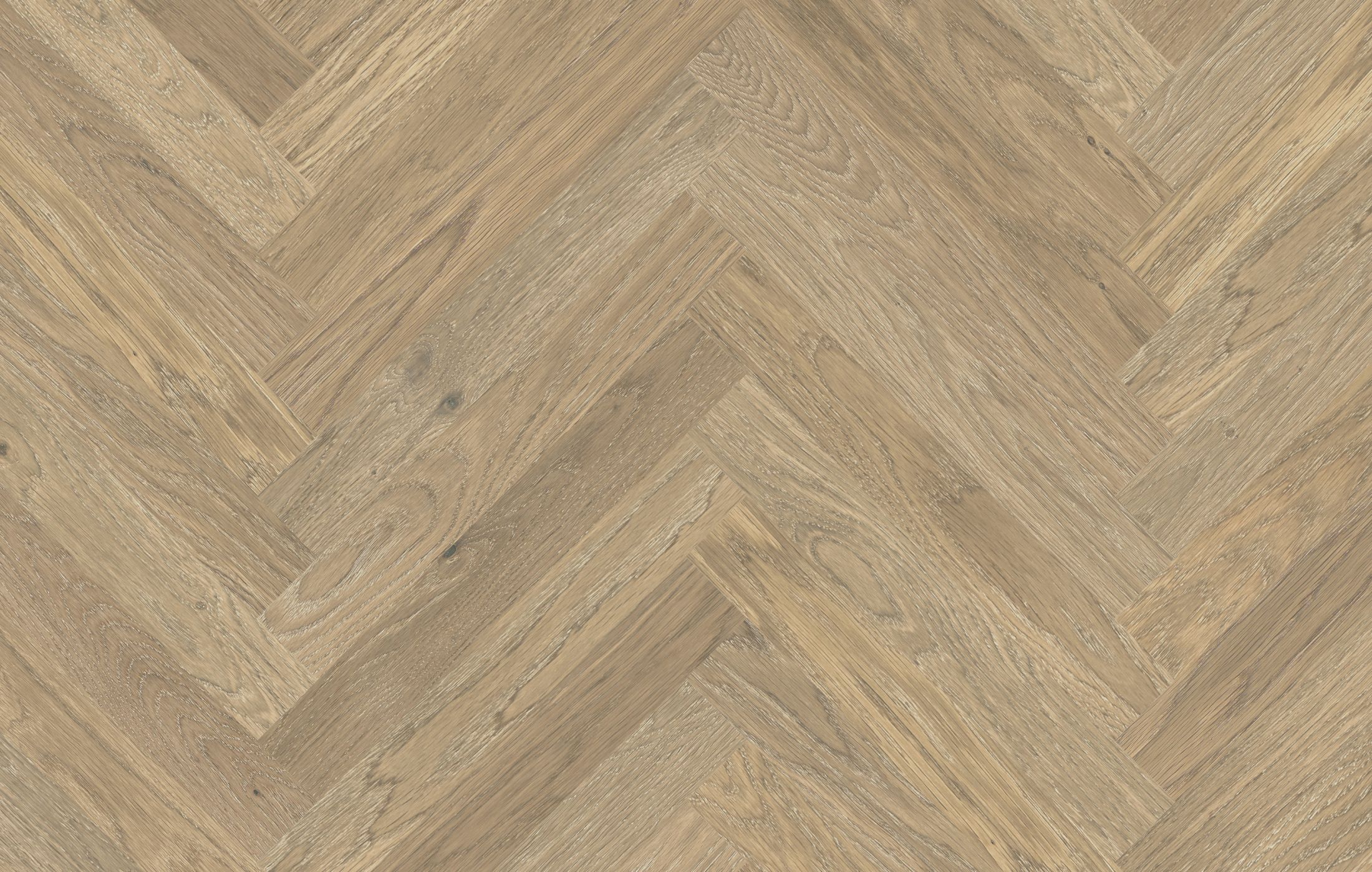 Jawor Parkiet FP_JKL_Dab_Color_Avorio_pr