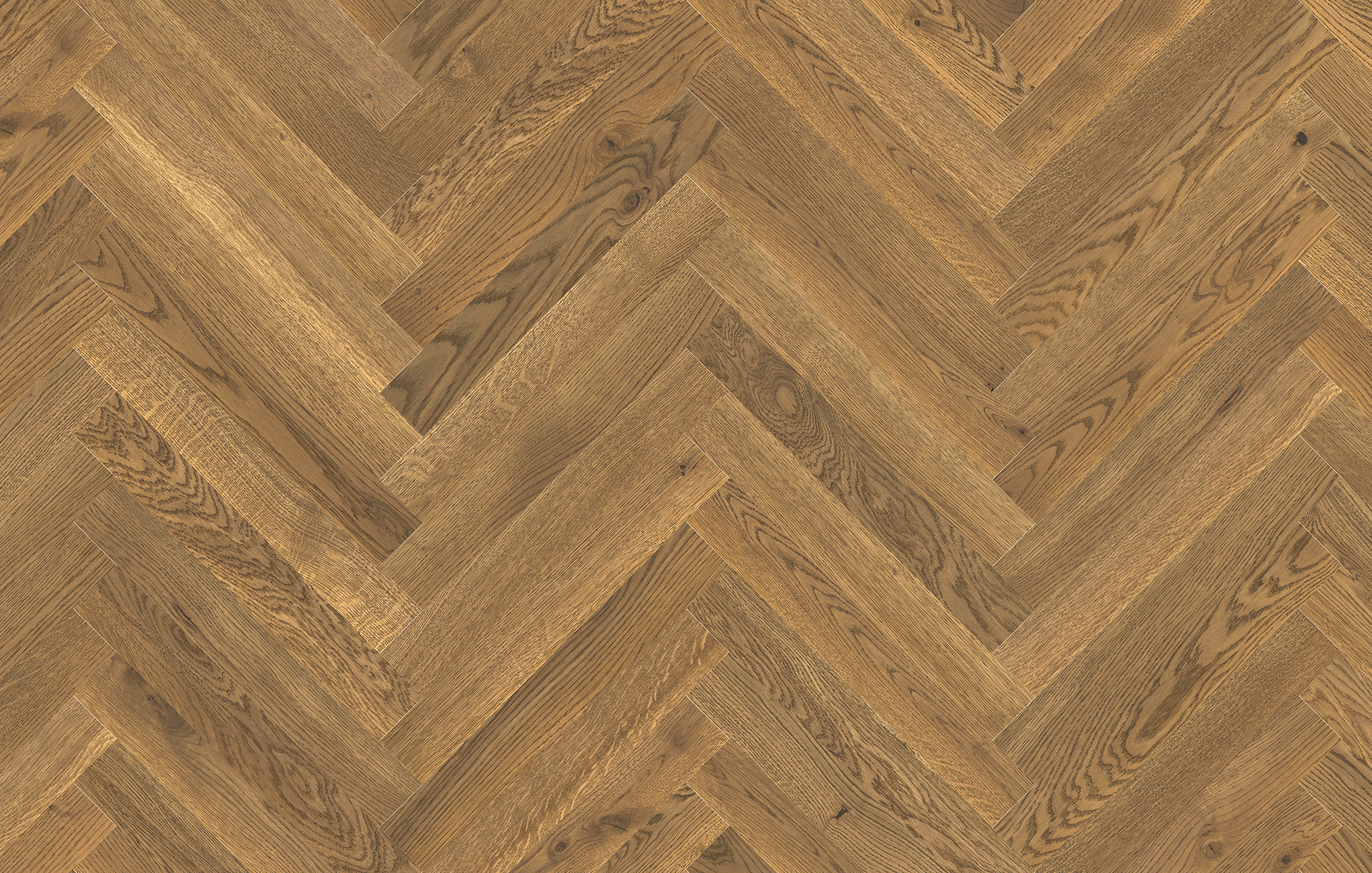 Jawor Parkiet FP_JKL_Dab_Color_Oro_pr